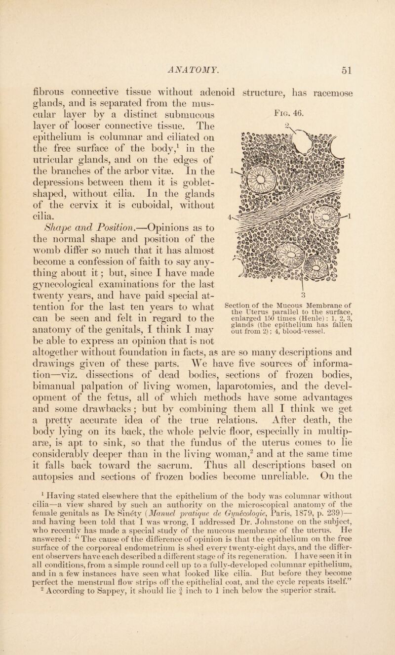 fibrous connective tissue without adenoid structure, has racemose glands, and is separated from the mus¬ cular layer by a distinct submucous Fig• 46. layer of looser connective tissue. The epithelium is columnar and ciliated on the free surface of the body,1 in the utricular glands, and on the edges of the branches of the arbor vitae. In the depressions between them it is goblet¬ shaped, without cilia. In the glands of the cervix it is cuboidal, without cilia. Shape and Position.—Opinions as to the normal shape and position of the womb differ so much that it has almost become a confession of faith to say any¬ thing about it; but, since I have made gynecological examinations for the last twenty years, and have paid special at¬ tention for the last ten years to what can be seen and felt in regard to the anatomy of the genitals, I think I may be able to express an opinion that is not altogether without foundation in facts, as are so many descriptions and drawings given of these parts. We have five sources of informa¬ tion—viz. dissections of dead bodies, sections of frozen bodies, bimanual palpation of living women, laparotomies, and the devel¬ opment of the fetus, all of which methods have some advantages and some drawbacks; but by combining them all I think we get a pretty accurate idea of the true relations. After death, the body lying on its back, the whole pelvic floor, especially in multip¬ arse, is apt to sink, so that the fundus of the uterus comes to lie considerably deeper than in the living woman,2 and at the same time it falls back toward the sacrum. Thus all descriptions based on autopsies and sections of frozen bodies become unreliable. On the Section of the Mucous Membrane of the Uterus parallel to the surface, enlarged 150 times (Henle): 1, 2, 3, glands (the epithelium has fallen out from 2); 4, blood-vessel. 1 Having stated elsewhere that the epithelium of the body was columnar without cilia—a view shared by such an authority on the microscopical anatomy of the female genitals as De Sinety (Manuel pratique de Gyneeologie, Paris, 1879, p. 239)— and having been told that I was wrong, I addressed Dr. Johnstone on the subject, who recently has made a special study of the mucous membrane of the uterus. He answered : “ The cause of the difference of opinion is that the epithelium on the free surface of the corporeal endometrium is shed every twenty-eight days, and the differ¬ ent observers have each described a different stage of its regeneration. I have seen it in all conditions, from a simple round cell up to a fully-developed columnar epithelium, and in a few instances have seen what looked like cilia. But before they become perfect the menstrual flow strips off’the epithelial coat, and the cycle repeats itself.” 2 According to Sappey, it should lie f inch to 1 inch below the superior strait.