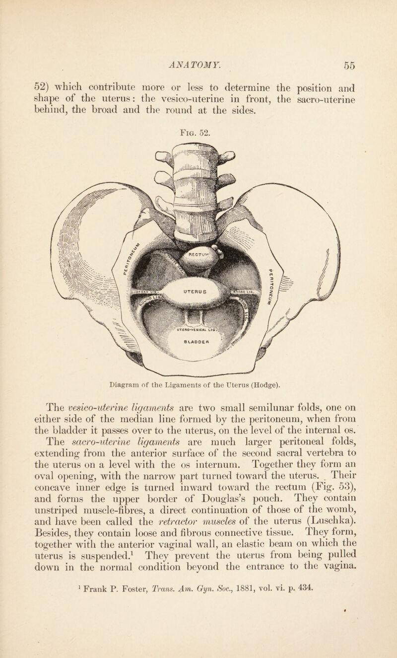 52) which contribute more or less to determine the position and shape of the uterus: the vesico-uterine in front, the sacro-uterine behind, the broad and the round at the sides. Fig. 52. Diagram of the Ligaments of the Uterus (Hodge). RECTUVf UTERUS UTERO-VESICAL LIG BLADDER The vesico-uterine ligaments are two small semilunar folds, one on either side of the median line formed by the peritoneum, when from the bladder it passes over to the uterus, on the level of the internal os. The sacro-uterine ligaments are much larger peritoneal folds, extending from the anterior surface of the second sacral vertebra to the uterus on a level with the os internum. Together they form an oval opening, with the narrow part turned toward the uterus. _ Their concave inner edge is turned inward toward the rectum (Fig. 53), and forms the upper border of Douglas’s pouch. They contain unstriped muscle-fibres, a direct continuation of those of the womb, and have been called the retractor muscles of the uterus (Luschka). Besides, they contain loose and fibrous connective tissue. They form, together with the anterior vaginal wall, an elastic beam on which the uterus is suspended.1 They prevent the uterus from being pulled down in the normal condition beyond the entrance to the vagina. 1 Frank P. Foster, Trans. Am. Gyn. Soc., 1881, vol. vi. p. 434.