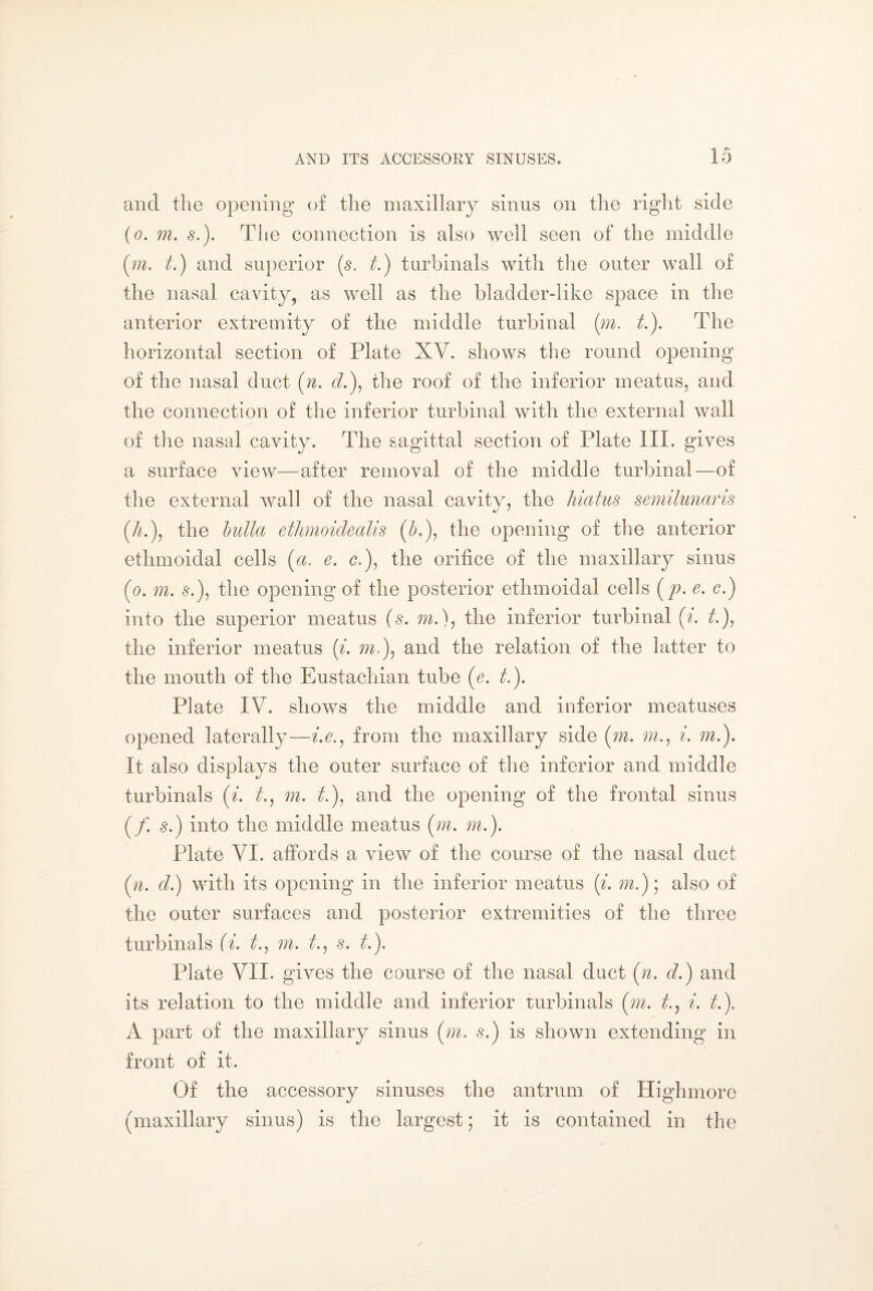 and the opening of the maxillary sinus on the right side (o. m. s.). The connection is also well seen of the middle (m. t.) and superior (s. t.) turbinals with the outer wall of the nasal cavity, as well as the bladder-like space in the anterior extremity of the middle turbina! (m. t.). The horizontal section of Plate XV. shows the round opening of the nasal duct (n. d.), the roof of the inferior meatus, and the connection of the inferior turbina! with the external wall of the nasal cavity. The sagittal section of Plate III. gives a surface view—after removal of the middle turbina!—of the external wall of the nasal cavity, the hiatus semilunaris «/ ' {h.\ the bulla ethmoidealis (h), the opening of the anterior ethmoidal cells (a. e. <?.), the orifice of the maxillary sinus (o. m. s.), the opening of the posterior ethmoidal cells (p. e. 0.) into the superior meatus (s. m.), the inferior turbina! (i. t), the inferior meatus (i. m.\ and the relation of the latter to the mouth of the Eustachian tube (e. t.). Plate IV. shows the middle and inferior meatuses opened laterally—i.e., from the maxillary side (in. ini. ml). It also displays the outer surface of the inferior and middle turbinals (i. t., m. t.), and the opening of the frontal sinus (/. s.) into the middle meatus (in. in.). Plate VI. affords a view of the course of the nasal duct (n. cl.) with its opening in the inferior meatus (i. in.); also of the outer surfaces and posterior extremities of the three turbinals (i. t., in. t., s. t.). Plate VII. gives the course of the nasal duct (n. d.) and its relation to the middle and inferior turbinals (in. t., i. t.). A part of the maxillary sinus (in. s.) is shown extending in front of it. Of the accessory sinuses the antrum of Highmore (maxillary sinus) is the largest; it is contained in the