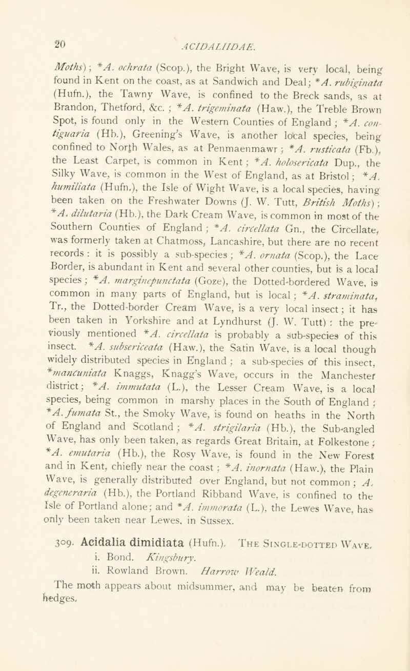 A CtDAL/tDAE. Moths)-, *A. ochrata (Scop.), the Bright Wave, is very local, being found in Kent on the coast, as at Sandwich and Deal; *A. rubiginata (Hufn.), the lawny Wave, is confined to the Breck sands, as at Brandon, Thetford, &c. ; *A. trigeminata (Haw.), the Treble Brown Spot, is found only in the Western Counties of England ; *A. con- tiguaria (Hb,), Greening's Wave, is another local species, being confined to North Wales, as at Penmaenmawr ; *A. rusticate (Fb.), the Least Carpet, is common in Kent; *A. holoserkata Dup., the Silky Wave, is common in the West of England, as at Bristol; *A, humiliata (Hufn,), the Isle of Wight Wave, is a local species, having been taken on the Freshwater Downs (J. W. Tutt, British Moths) ; *A< dilutaria (Hb.), the Dark Cream Wave, is common in most of the Southern Counties of England ; *A. cirCellata Gn., the Circellate, was formerly taken at Chatmoss, Lancashire, but there are no recent records : it is possibly a sub-species; * A. ornata (Scop.), the Lace Border, is abundant in Kent and several other counties, but is a local species; *A. marginepunctata (Goze), the Dotted-bordered Wave, is common in many parts of England, but is local; *A. straminata, Tr., the Dotted-border Cream Wave, is a very local insect; it has been taken in Yorkshire and at Lyndhurst (J. W. Tutt) ; the pre¬ viously mentioned *A. circellata is probably a sub-species of this insect. *A. subsericeata (Haw.), the Satin Wave, is a local though widely distributed species in England ; a sub-species of this insect, *manCuniata Knaggs, Knagg’s Wave, occurs in the Manchester district; *A. immutata (L.), the Lesser Cream Wave, is a local species, being common in marshy places in the South of England ; * A.fumata St., the Smoky Wave, is found on heaths in the North of England and Scotland ; *A. strigilaria (Hb.), the Sub-angled Wave, has only been taken, as regards Great Britain, at Folkestone; NT emutaria (Hb.), the Rosy Wave, is found in the New Forest and in Kent, chiefly near the coast; *A. inornate (Haw.), the Plain Wave, is generally distributed Over England, but not common ; A, degeneraria (Hb.), the Portland Ribband Wave, is confined to the Isle of Portland alone; and *A. immorata (L.), the Lewes Wave, has only been taken near Lewes, in Sussex. 309. Acidalia dimidiata (Hufn.), The Single-dotted Wave, i. Bond. Kingsbury. ii. Rowland Brown. Harrow Weald. The moth appears about midsummer, and may be beaten from hedges.