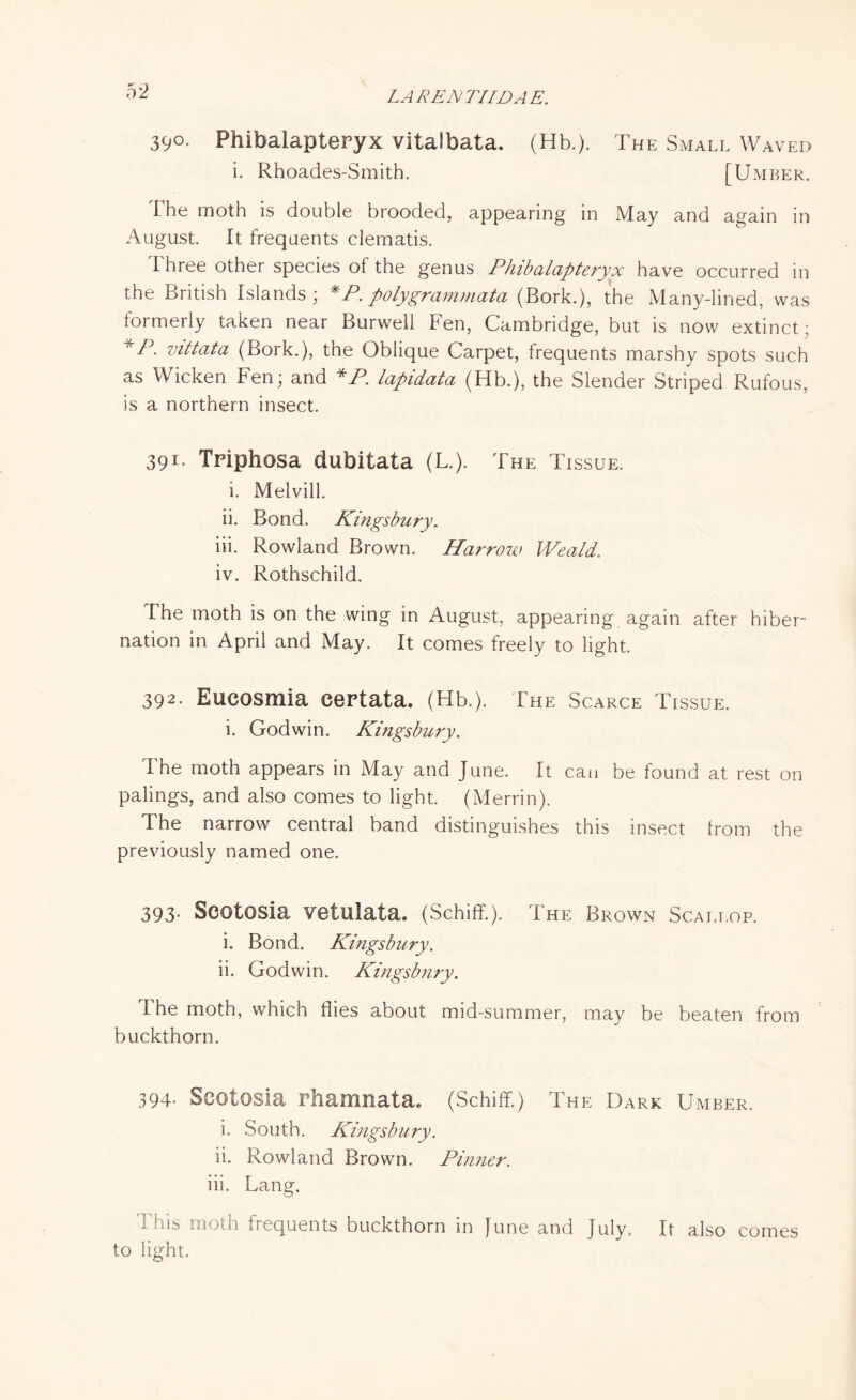 39°- Phibalapteryx vitaibata. (Hb.). The Small Waved i. Rhoades-Smith. [Umber. The moth is double brooded, appearing in May and again in August. It frequents clematis. Three other species of the genus Phibalapteryx have occurred in the British Islands; *P. polygrammata (Bork.), the Many-lined, was formerly taken near Burwell Fen, Cambridge, but is now extinct; *P. vittata (Bork.), the Oblique Carpet, frequents marshy spots such as Wicken Fen; and *P. lapidata (Hb.), the Slender Striped Rufous, is a northern insect. 391- Tripliosa dubitata (L.). The Tissue. i. Melvill. ii. Bond. Kingsbury. iii. Rowland Brown. Harrow Weald. iv. Rothschild. The moth is on the wing in August, appearing again after hiber¬ nation in April and May. It comes freely to light. 392. Eucosmia eertata. (Hb.). The Scarce Tissue. i. Godwin. Kingsbury. The moth appears in May and June. It can be found at rest on palings, and also comes to light. (Merrin). The narrow central band distinguishes this insect from the previously named one. 393- Seotosia vetulata. (Schiff.). The Brown Scallop. i. Bond. Kingsbury. ii. Godwin. Kingsbury. I he moth, which flies about mid-summer, may be beaten from buckthorn. 394- Seotosia rhamnata. (Schiff.) The Dark Umber. i. South. Kingsbury. ii. Rowland Brown. Pinner. iii. Lang. 'Phis moth frequents buckthorn in June and July, It also to light. comes