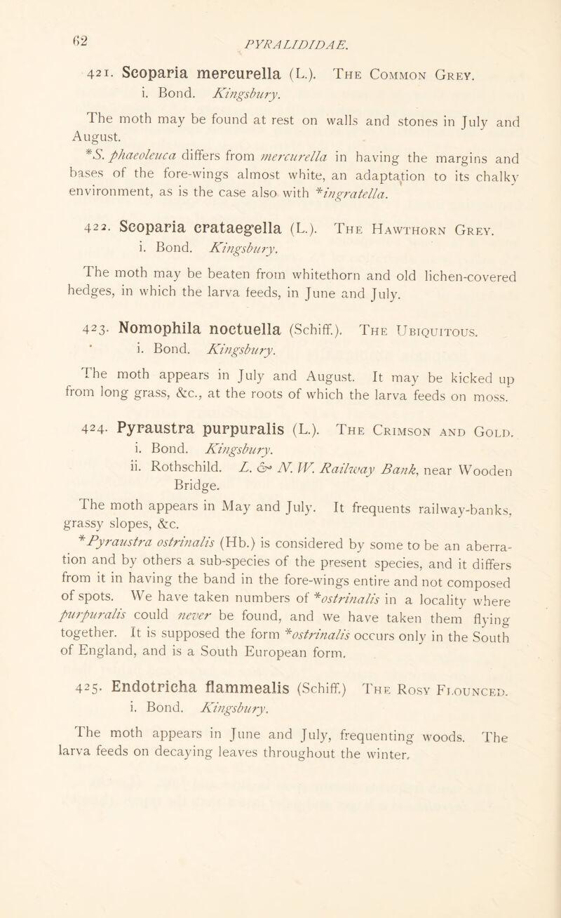 421. Scoparia mereurella (L.). The Common Grey. i. Bond. Kingsbury. The moth may be found at rest on walls and stones in July and August. *S. phaeoleuca differs from mercurella in having the margins and bases of the fore-wings almost white, an adaptation to its chalky environment, as is the case also with *ingratella. 422. Scoparia crataeg’ella (L.). The Hawthorn Grey. i. Bond. Kingsbury. The moth may be beaten from whitethorn and old lichen-covered hedges, in which the larva feeds, in June and July. 423. Nomophila noetuella (Schiff.). The Ubiquitous. i. Bond. Kingsbury. The moth appears in July and August. It may be kicked up irom long grass, &c., at the roots of which the larva feeds on moss. 424- Pyraustra purpuralis (L.). The Crimson and Gold. i. Bond. Kingsbury. ii. Rothschild. L. & N. W. Railway Bank, near Wooden Bridge. The moth appears in May and July. It frequents railway-banks, grassy slopes, cS^c. * Pyraustra ostrinalis (Hb.) is considered by some to be an aberra¬ tion and by others a sub-species of the present species, and it differs from it in having the band in the fore-wings entire and not composed of spots. We have taken numbers of* ostrinalis in a locality where purpuralis could never be found, and we have taken them flying together. It is supposed the form *ostrinalis occurs only in the South of England, and is a South European form. 425. Endotrieha flammealis (Schiff.) The Rosy Flounced. i. Bond. Kingsbury. The moth appears in June and July, frequenting woods. The larva feeds on decaying leaves throughout the winter.
