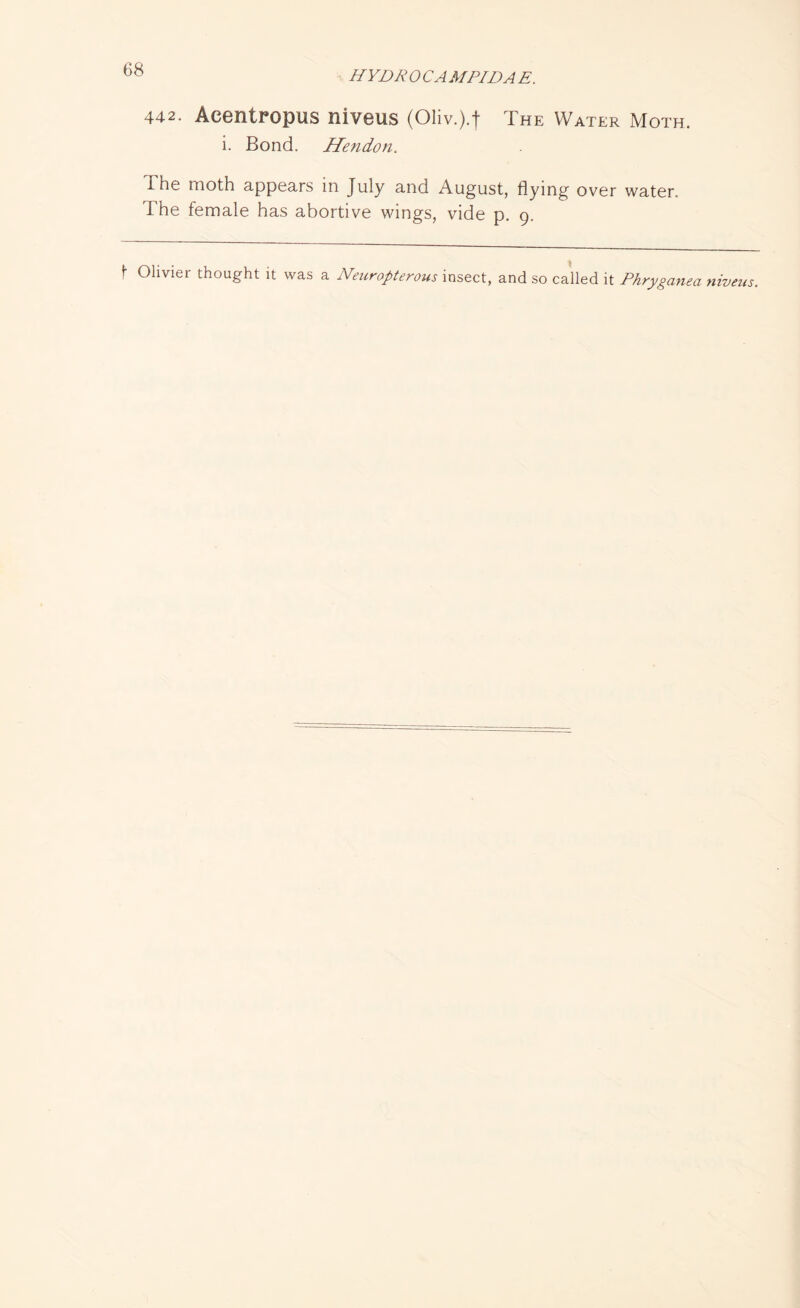HYDR 0 C A MPIDA E. 442. Aeentropus niveus (Oliv.).t The Water Moth. i. Bond. Hendon. I he moth appears in July and August, flying over water. The female has abortive wings, vide p. g. f Olivier thought it was a Nenropterous insect, and so called it Phryganea niveus.