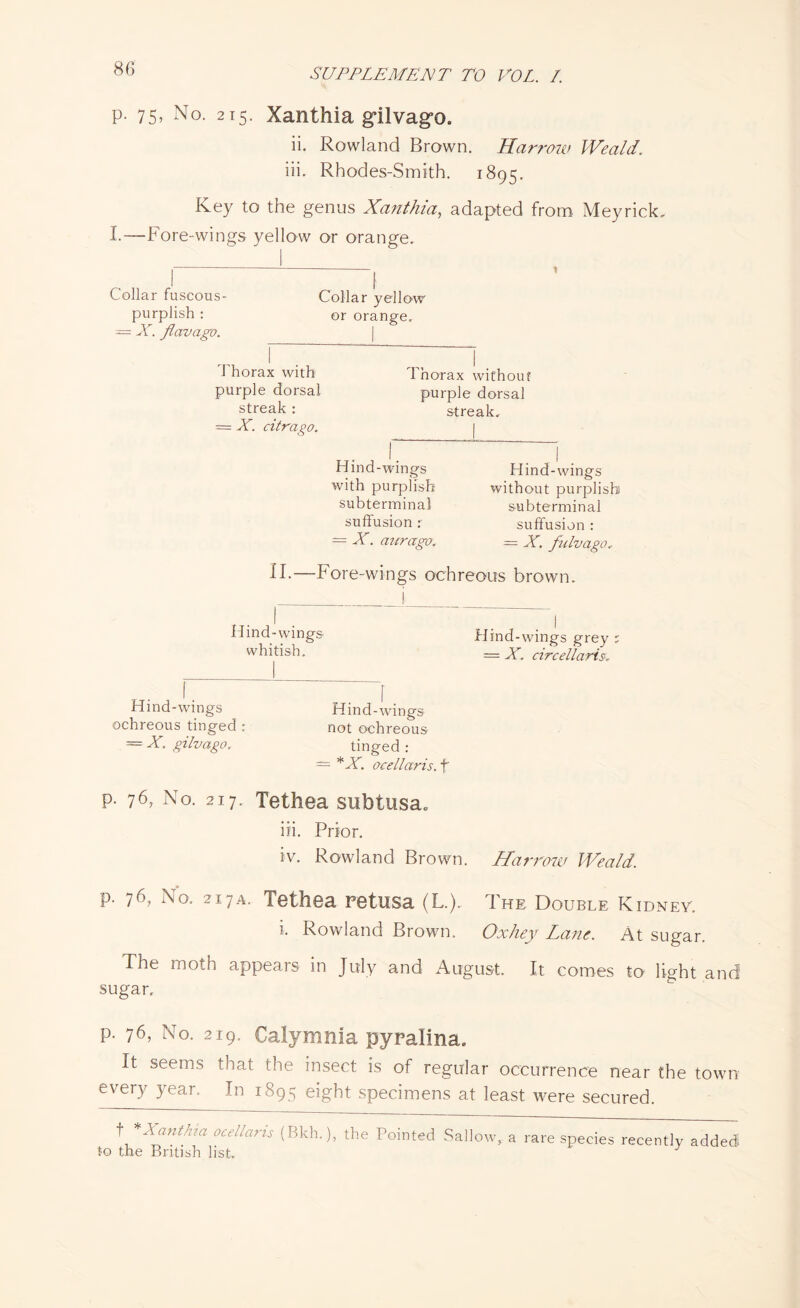 p. 75, No. 215. Xanthia g-ilvago. ii. Rowland Brown. Harrow Weald. iii. Rhodes-Smith. 1895. Key to the genus Xanthia, adapted from Meyrick. I.—Fore-wings yellow or orange. Collar fuscous- Collar yellow purplish : or orange. — X. flavago. Thorax with Thorax without purple dorsal purple dorsal streak: streak. = X. citrago. 1 Hind-wings with purplish subterminal suffusion : — X. aurago. Hind-wings without purplish subterminal suffusion : = X. fulvago, II.—Fore-wings ochreous brown. Hind-wings Hind-wings grey ; whitish. = X. circellarisr Hind-wings Hind-wings ochreous tinged : not ochreous = X. gilvago. tinged : — *X. ocellaris. f p. 76? No. 217. Tethea subtiisa* iii. Prior. iv. Rowland Brown. Harrow Weald. p. 76, No. 217a. Tethea retusa (L.). i. Rowland Brown. The Double Kidney. Ox hey Lane. At sugar. The moth appears in July and August. It comes to light and sugar. p. 76, No. 219. Calymnia pyralina. It seems that the insect is of regular occurrence near the town every year. In 1S95 eight specimens at least were secured. t * Xanthia ocellaris (Bkh.), the Pointed Sallow, a rare species recently added tr\ tho Rvld.T 1R<- d