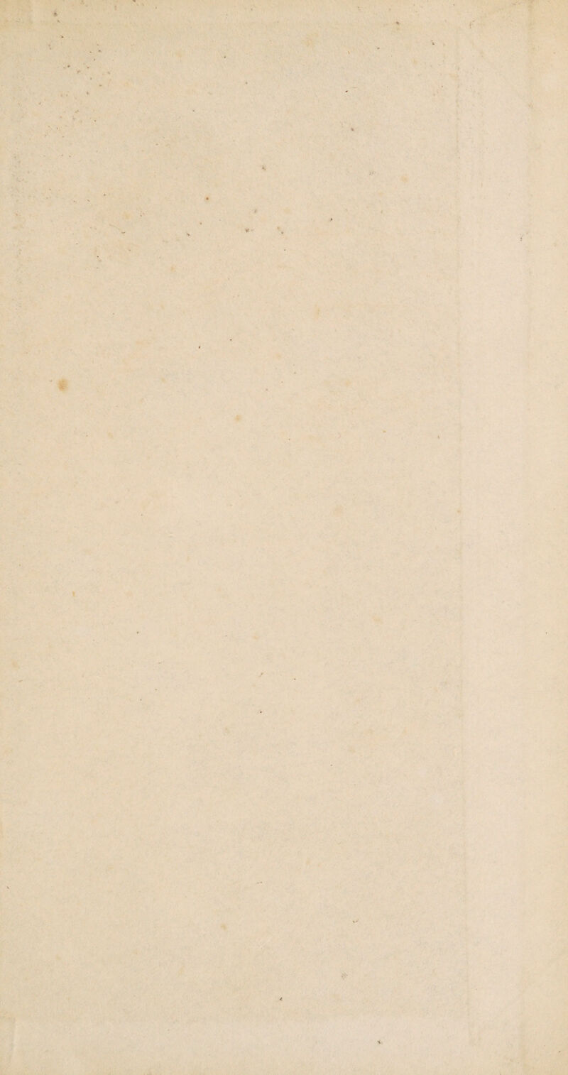 A * *- »' * * » < iy