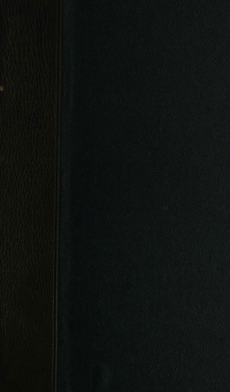 } SON Afotis ee % i) A 7 “h a a wate — < BNE ann “ Ane sah 5 , 4) 4 wae) iT, COM T ' , Pa. AY iS ie REL AOL RAIN intey age ye af BN! ELE Sb) r pA rp ar Sty