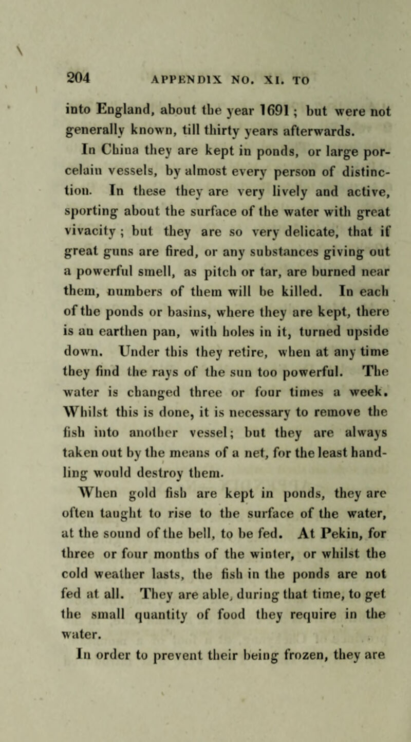 into England, about tbe year 1691; but were not generally known, till thirty years afterwards. In China they are kept in ponds, or large por¬ celain vessels, by almost every person of distinc¬ tion. In these they are very lively and active, sporting about the surface of the water with great vivacity ; but they are so very delicate, that if great guns are fired, or any substances giving out a powerful smell, as pitch or tar, are burned near them, numbers of them will be killed. In each of the ponds or basins, where they are kept, there is an earthen pan, with holes in it, turned upside down. Under this they retire, when at any time they find the rays of the sun too powerful. The water is changed three or four times a week. Whilst this is done, it is necessary to remove the fish into another vessel; but they are always taken out by the means of a net, for the least hand¬ ling would destroy them. When gold fish are kept in ponds, they are often taught to rise to the surface of the water, at the sound of the bell, to be fed. At Pekin, for three or four months of the winter, or whilst the cold weather lasts, the fish in the ponds are not fed at all. They are able, during that time, to get the small quantity of food they require in the water. In order to prevent their being frozen, they are