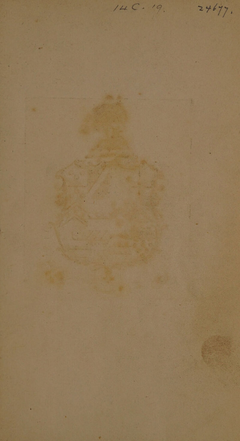 B vim d- s) eret vica pk vt a i Um s iot E ur 4 dad ?