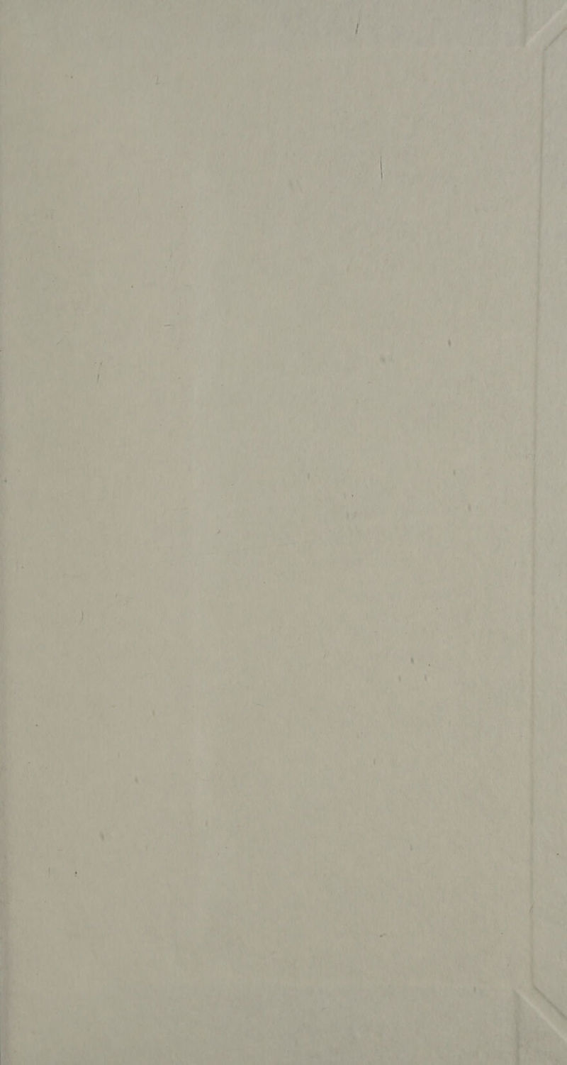 TY hae ap ifs . vy ries ke Va ind * ie es na i)