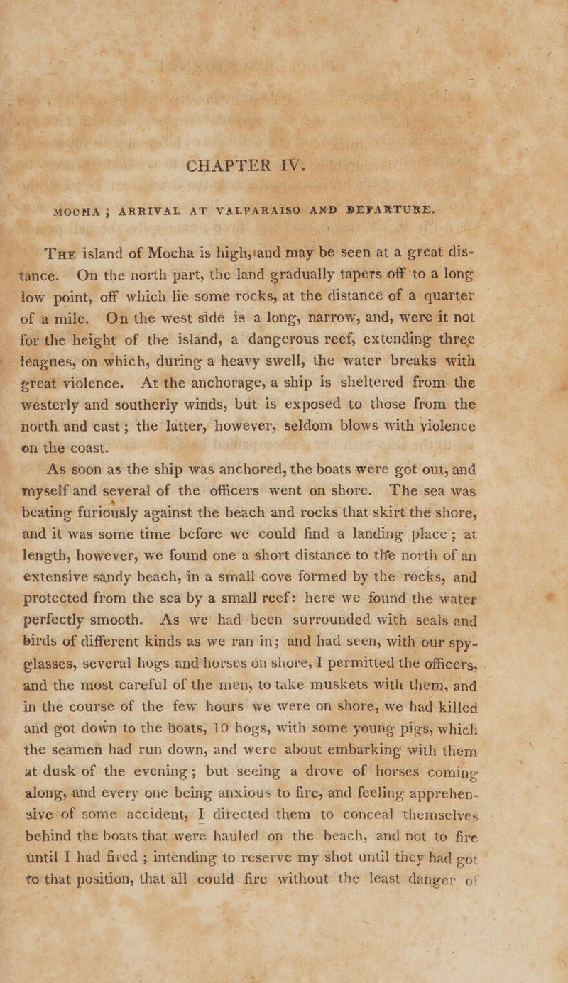 sed 15) CHAPTER Vt td aa MOCHA; ARRIVAL AT VALPARAISO AND DEPARTURE. = Tue island of Mocha is high;'and may be seen at a great dis- - tance. On the north part, the land gradually tapers off to a long low point, off which le some rocks, at the distance of a quarter of amile. On the west side is a long, narrow, and, were it not _ for the height of the island, a dangerous reef, extending three — = leagues, on which, during a heavy swell, the water breaks with | ereat violence. At the anchorage, a ship is sheltered from. the westerly and southerly winds, but is exposed to those from the north and east; the latter, however, seldom blows with violence on the coast. Us | . As soon as the ship was anchored, the boats were got out, and myself and several of the officers went on shore. The sea was beating furiously against the beach and rocks that skirt the shore, and it was some time before we could find a landing place; at length, however, we found one a short distance to the north of an extensive sandy beach, in a small cove formed by the rocks, and protected from the sea by a small reef: here we found the water perfectly smooth. As we had been surrounded with seals and birds of different kinds as we ran in; and had seen, with our spy- glasses, several hogs and horses on shore, I permitted the officers, . and the most careful of the men, to take muskets with them, and in the course of the few hours we were on shore, we had killed and got down to the boats, 10 hogs, with some young pies, which the seamen had run down, and were about embarking with them at dusk of the evening; but seeing a drove of horses coming along, and every one being anxious to fire, and feeling apprehen- sive of some accident, I directed them to conceal themselves behind the boats that were hauled on the beach, and not to fire until I had fired ; intending to reserve my shot until they had eo: | to that position, that all could fire without the least danger o!