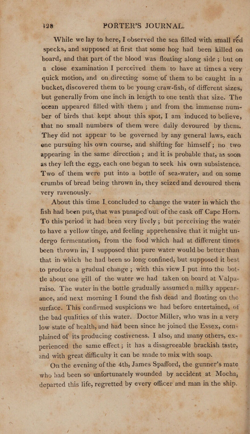 While we lay to here, I observed the sea filled with small red specks, and supposed at first that some hog had been killed on board, and that part.of the blood was floating along side ; but on quick motion, and on directing some of them to be caught in a bucket, discovered them to be young craw-fish, of different sizes, but generally from one inch in length to one tenth that size. The ocean appeared filled with them ; and from the immense num- ber of birds that kept about this spot, I am induced to believe, that no small numbers of them were daily devoured by them. ‘They did not appear to be governed by any general laws, each ene pursuing his own course, and shifting for himself; no two appearing in the same direction ; and it is probable that, as soon as they left the egg, each one began to seek his own subsistence. Two of them were put into a bottle of sea-water, and on some crumbs of bread being thrown in, they seized and devoured them wety ravenously. About this time L. Shnctoded to change the water in which the fish had been put, that was puraped out of the cask off Cape Horn. To this period it had been very lively; but perceiving the water to have a yellow tinge, and feeling apprehensive that it might un- dergo fermentation, from the food which had at different times been thrown in, I supposed that pure water would be better than that in which he had been so long confined, but supposed it best .to produce a gradual change ; with this view I put into the bot- tle about one gill of the water we had taken on board at Valpa- raiso. The water in the bottle gradually assumed a milky appear- ance, and next morning I found the fish dead and floating on the surface. This confirmed suspicions we had before entertained, of the bad qualities of this water. Doctor Miller, who was in a very low state of health, and had been since he joined the Essex, com- plained of its producing costiveness. I also, and many others, ex- perienced the same effect ; it has a disagreeable brackish taste, and with great difficulty it can be made to mix with soap. Qn the evening of the 4th, James Spafford, the gunner’s mate /