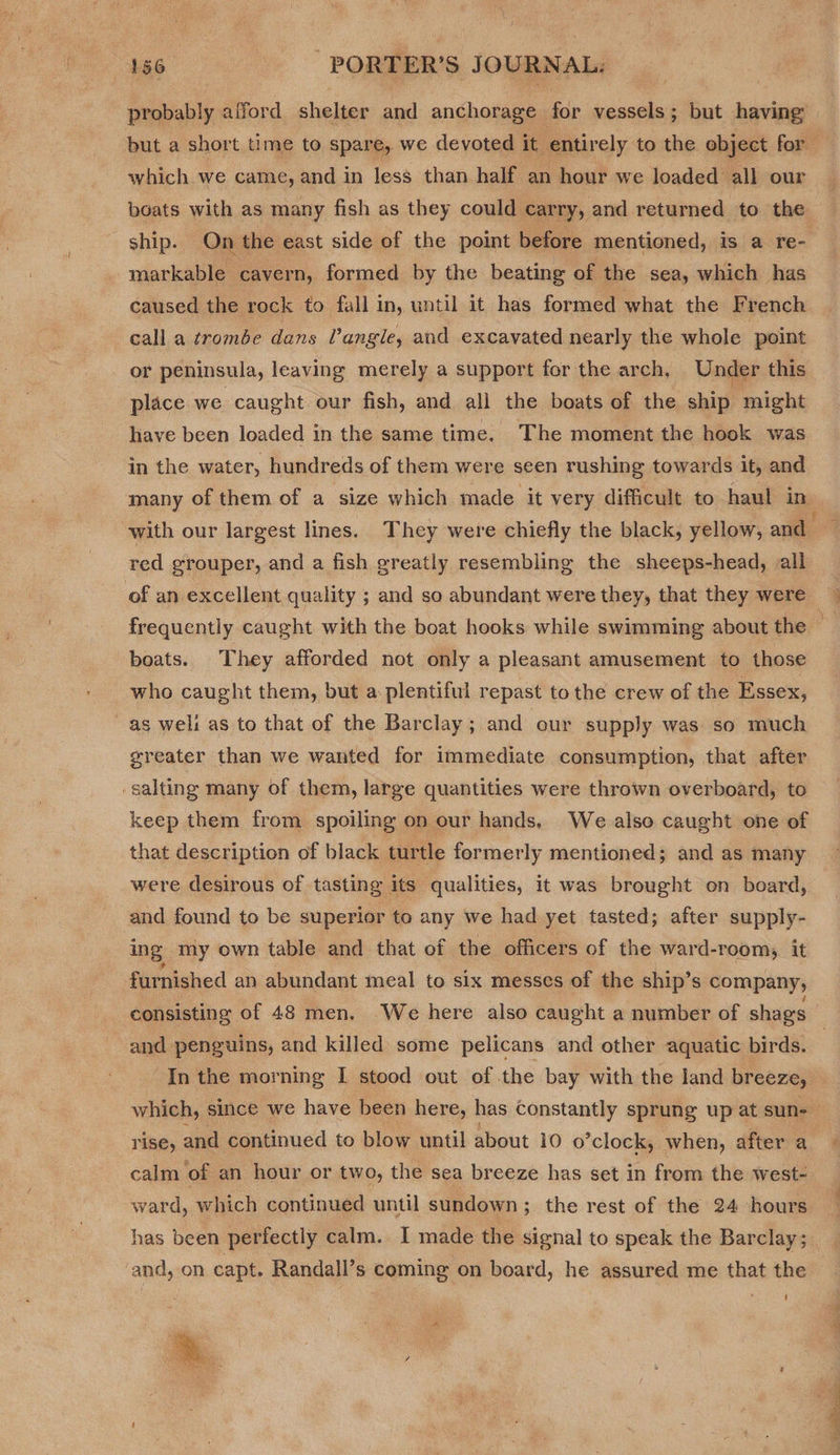 probably afford shelter sa anchorage for vessels; but having which we came, and in less than half an hour we loaded all our ship. On the east side of the point before mentioned, is a re- markable cavern, formed by the beating of the sea, which has call a ¢rombe dans Pangle, and excavated nearly the whole point or peninsula, leaving merely a support for the arch, Under this place we caught our fish, and all the boats of the ship might have been loaded in the same time. The moment the hook was in the water, hundreds of them were seen rushing towards it, and red grouper, and a fish greatly resembling the sheeps-head, all of an excellent quality ; and so abundant were they, that they were boats. They afforded not only a pleasant amusement to those who caught them, but a plentiful repast tothe crew of the Essex, as weli as to that of the Barclay; and our supply was so much greater than we wanted for immediate consumption, that after salting many of them, large quantities were thrown overboard, to keep them from spoiling on our hands, We also caught one of that description of black turtle formerly mentioned; and as many were desirous of tasting its qualities, it was brought on board, and found to be superior to any we had yet tasted; after supply- ing my own table and that of the officers of the ward-room, it furnished an abundant meal to six messes of the ship’s company, consisting of 48 men. We here also caught a number of shags and penguins, and killed some pelicans and other aquatic birds. In the morning I stood out of the bay with the land breeze, rise, and continued to blow until about 10 o’clock, when, after a calm of an hour or two, the sea breeze has set in from the west- ward, which continued until sundown ; the rest of the 24 hours has been perfectly calm. I made the signal to speak the Barclay; ‘and, on capt. Randall’s coming on board, he assured me that the  — ow ¢ =x se 1 ba Sl na