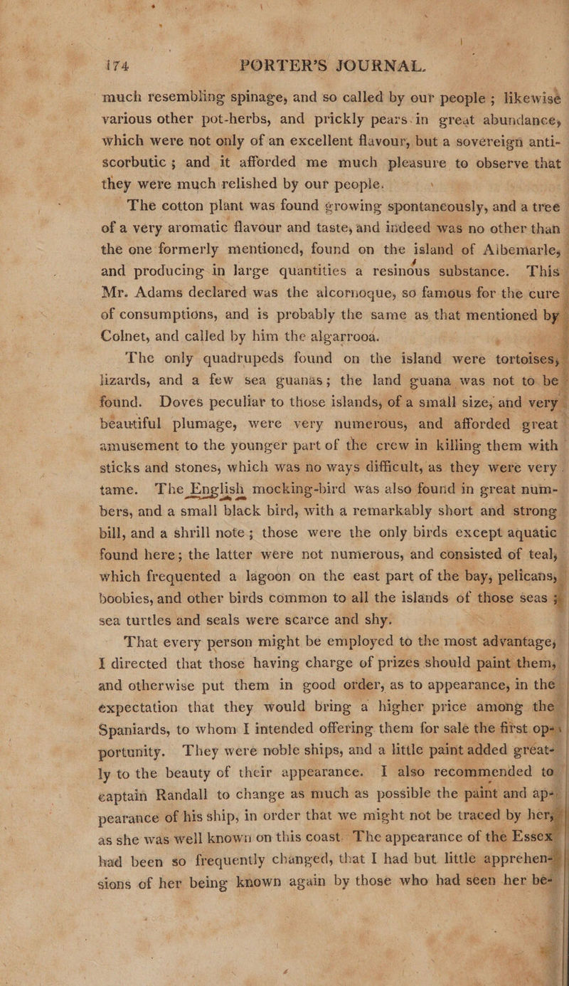 much resembling spinage, and so called by our people ; likewise various other pot-herbs, and prickly pears-in great abundance, which were not only of an excellent flavour, but a sovereign anti- ‘scorbutic ; and it afforded me much pleasure to observe that they were much relished by our people. ; _ The cotton plant was found growing spontaneously, and a tree — of a very aromatic flavour and taste, and indeed was no other than - the one formerly mentioned, found on the island of Albemarle, - and producing in large quantities a resinous substance. This” | Mr. Adams declared was the alcornoque, so famous for the cual     of consumptions, and is probably the same as that mentioned by Colnet, and called by him the algarrooa. — The only quadrupeds found on the island were tortoises; lizards, and a few sea guanas; the land guana was not to be found. Doves peculiar to those islands; of a small size, and very beautiful plumage, were very numerous, and afforded great — amusement to the younger part of the crew in killing them with | sticks and stones, which was no ways difficult, as they were very. tame. The English mocking-bir d was also found in great num- bers, and a small black bird, with a remarkably short and strong bill, and a shrill note; those were the only birds except aquatic _ found here; the latter were not numerous, and consisted of teal, which frequented a lagoon on the east part of the bay; pelicans, boobies, and other birds common to all the islands of those seas j and otherwise put them in good order, as to appearance, in the expectation that they would bring a higher price among th e Spaniards, to whom I intended offering them for sale the first ops. portunity. They were noble ships, and a little paint added gréate ly to the beauty of their appearance. I also recommended to captain Randall to change as much as possible the paint ¢ and ape : pearance of his ship, in order that we might not be traced by her, as she was well known on this coast. The appearance of the Essex r had been so frequently changed, that I had but, little -apprehen- sions of her being known again by those who had seen her bes      