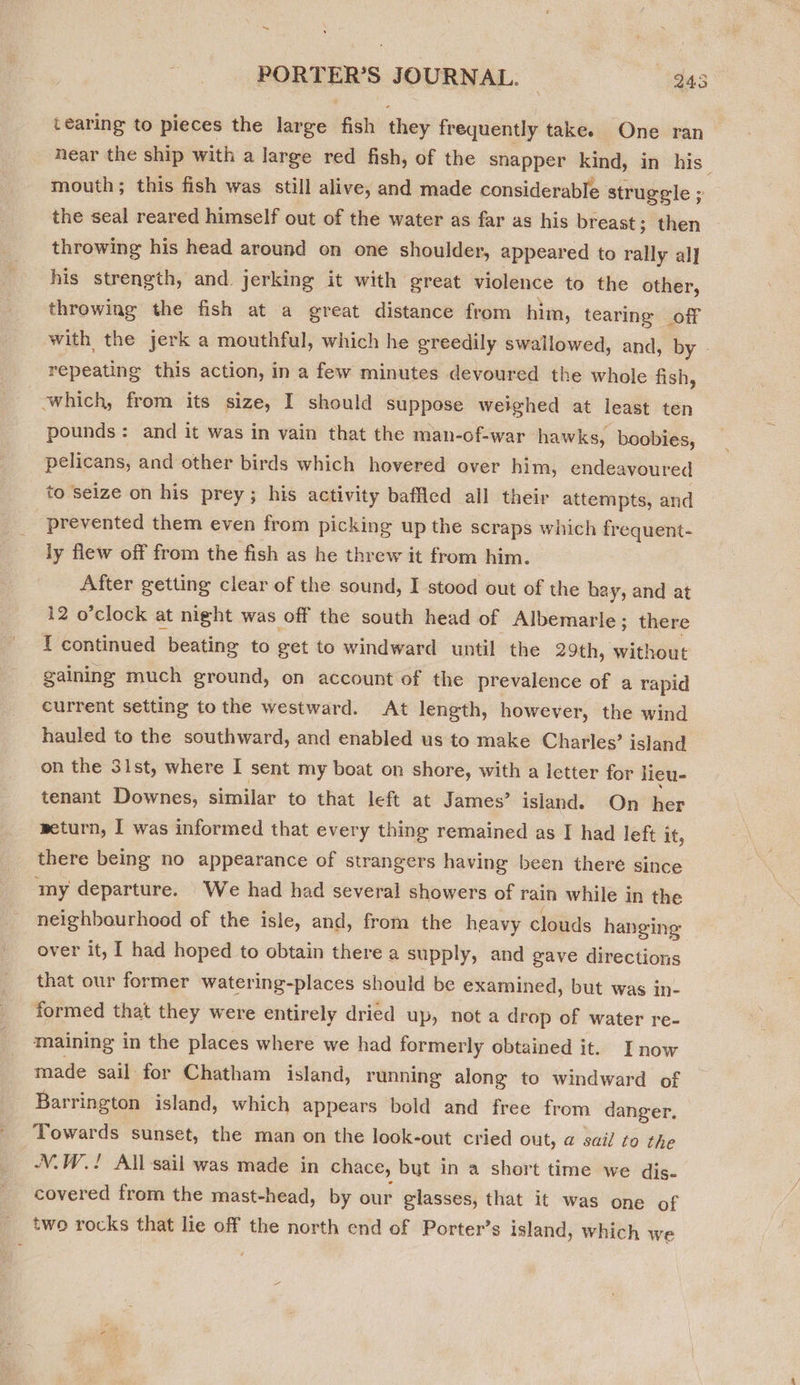 tearing to pieces the large fish they frequently take. One ran near the ship with a large red fish, of the snapper kind, in his : mouth; this fish was still alive, and made considerable struggle ; the seal reared himself out of the water as far as his breast; then throwing his head around on one shoulder, appeared to rally al] his strength, and. jerking it with great violence to the other, throwing the fish at a great distance from him, tearing off with the jerk a mouthful, which he greedily swallowed, and, by - repeating this action, in a few minutes devoured the whole fish, which, from its size, I should suppose weighed at least ten pounds: and it was in vain that the man-of-war hawks, boobies, pelicans, and other birds which hovered over him, endeavoured to seize on his prey; his activity baffled all their attempts, and prevented them even from picking up the scraps which fr equent- ly flew off from the fish as he threw it from him. After getting clear of the sound, I stood out of the bay, and at 12 o’clock at night was off the south head of Albemarle; there I continued beating to get to windward until the 29th, without gaining much ground, on account of the prevalence of a rapid current setting to the westward. At length, however, the wind hauled to the southward, and enabled us to make Charles’ island on the 31st, where I sent my boat on shore, with a letter for lieu- tenant Downes, similar to that left at James’ island. On her weturn, I was informed that every thing remained as I had left it, there being no appearance of strangers having been there since amy departure. We had had several showers of rain while in the neighbourhood of the isle, and, from the heavy clouds hanging over it, I had hoped to obtain there a supply, and gave directions that our former watering-places should be examined, but was in- formed that they were entirely dried up, nota drop of water re- maining in the places where we had formerly obtained it. I now made sail for Chatham island, running alone to windward of Barrington island, which appears bold and free from danger. Towards sunset, the man on the look-out cried out, a sail to the V.W.! All -sail was made in chace, but in a short time we dis- covered from the mast-head, by our glasses, that it was one of _ two rocks that lie off the north end of Porter’s island, which we