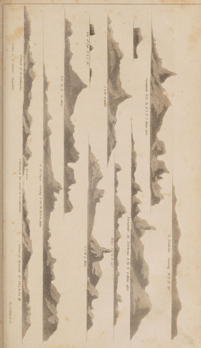    he NV.  Bee   Fernande N.E. ty E4 E 7 Mies aust.      Nerhena Eby     Bats SES. 2G), i       NE. by E£. 10 Moles.    A St. Jago bearing S$. 64° W. Dist 16 Miles    Island of Jt. Catharine  L Island cf Abearade b? SW4W74 UU. oe Prewn by 0. Adams Chaplain ® * 