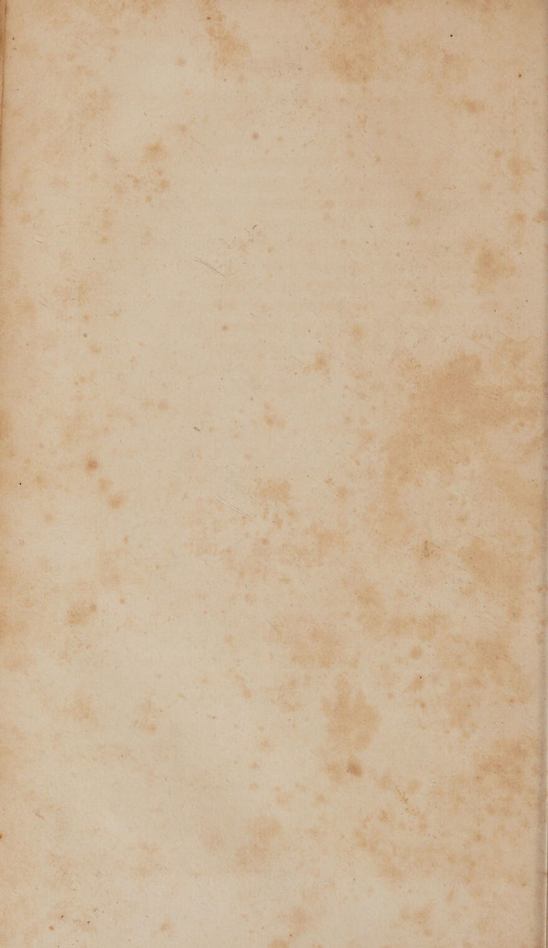 an 
