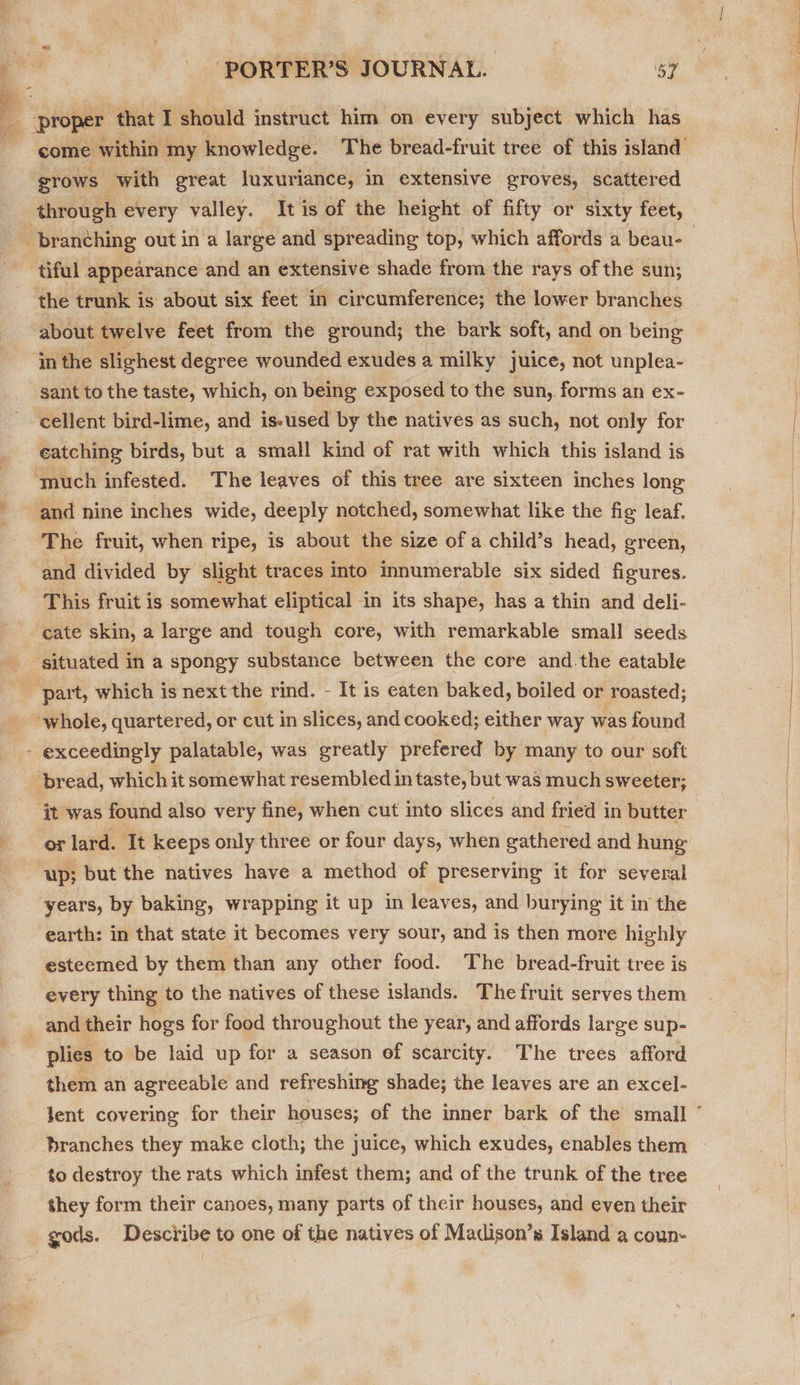 proper that I should instruct him on every subject which has come within my knowledge. The bread-fruit tree of this island’ grows” with great luxuriance, in extensive groves, scattered “branching out in a large and spreading top, which affords a beau- -tiful appearance and an extensive shade from the rays of the sun; the trunk is about six feet in circumference; the lower branches about twelve feet from the ground; the bark soft, and on being in the slighest degree wounded exudes a milky juice, not unplea- sant to the taste, which, on being exposed to the sun, forms an ex- cellent bird-lime, and iseused by the natives as such, not only for catching birds, but a small kind of rat with which this island is ‘much infested. The leaves of this tree are sixteen inches long and nine inches wide, deeply notched, somewhat like the fig leaf. The fruit, when ripe, is about the size of a child’s head, green, and divided by slight traces into innumerable six sided figures. This fruit is somewhat eliptical in its shape, has a thin and deli- cate skin, a large and tough core, with remarkable small seeds _ gituated in a spongy substance between the core and.the eatable ~ part, which is next the rind. - It is eaten baked, boiled or roasted; whole, quartered, or cut in slices, and cooked; either way was found - exceedingly palatable, was greatly prefered by many to our soft bread, which it somewhat resembled in taste, but was much sweeter; ‘qt was found also very fine, when cut into slices and fried in butter ‘or lard. It keeps only three or four days, when eathered and hung “up; but the natives have a method of preserving it for several years, by baking, wrapping it up in leaves, and burying it in the earth: in that state it becomes very sour, and is then more highly esteemed by them than any other food. The bread-fruit tree is every thing to the natives of these islands. The fruit serves them _ and their hogs for food throughout the year, and affords large sup- plies to be laid up for a season of scarcity. The trees afford them an agreeable and refreshing shade; the leaves are an excel- to destroy the rats which infest them; and of the trunk of the tree they form their canoes, many parts of their houses, and even their _ gods. Describe to one of the natives of Madison’s Island a coun- See eames,