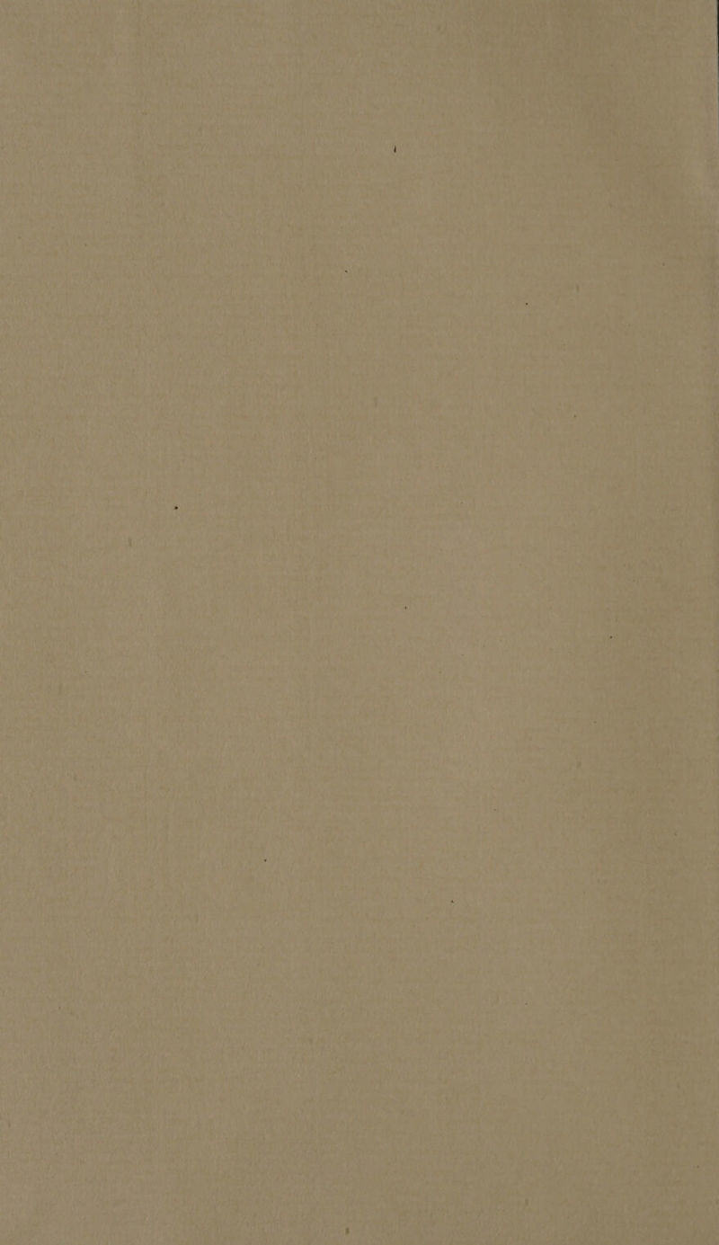 a p MIGNE AS ie AME T Loney x TUA vei ‘ ] b » Ur Yt iw ute T ERRAT re En. s Azo NIE | Tii i j vlr cds ZA rf . VA kot 