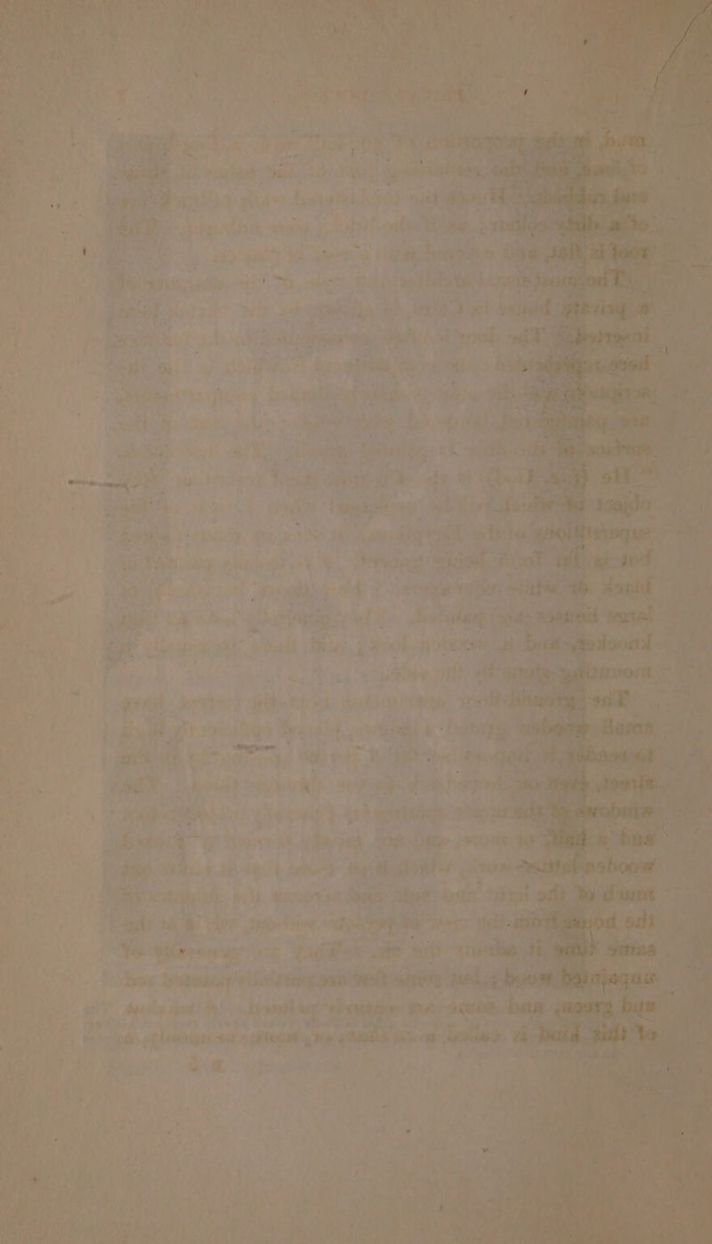 = aa | i eae we ‘yan - ; eae eee vi! Ho har? eer a Pee i oS fe eden iy Oh hain oe ced). har uss een ee Re ee ackiy yi) tices al 7 Bun <2: eee side ie uy i pet Mae 7, * e : . : “ ; . or quite: ; z LL? Sam ea ‘Pats a < “4 i Botany rr! Pe y be intial 6 > « = = ak) PAS ; ryt reser WB ras} E 4 ariel’ he, 4d | ces tl Tees = 2 Live £3 TB tot eal ioe otha a aes . nie a4 | penne ‘ uns: a oe Wen ragga ee Suh ah wet re - Spit Thali f $e a 8 wb | . , FO ale wa a oF fst ke}: er toe. daetlt Ofoe tS = rs Bla g ARGS Deyiald yee s fake pit at oe, rica y de it ae! OK a oe We oe. SOM ee me hides 9 ut Bp Dee en So ee, ee eye ah ay y i dap vee eae ee glands a 3 Mes cane ae we» 1 Bans: alae pins i Be Eid 1a Vin ues Baer MO it ie wring nk TdT aie Sa oe > ae iyabeneny isa i aii pe plan hut! By Lb asad eat eaniaipien ) ie ledanigneain: teh a oa