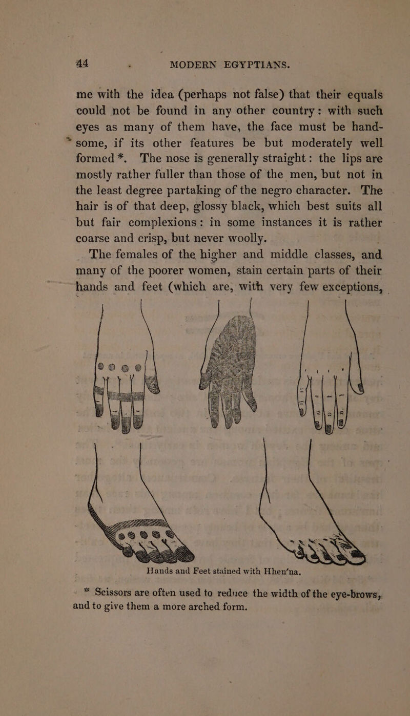 me with the idea (perhaps not false) that their equals could not be found in any other country: with such eyes as many of them have, the face must be hand- “some, if its other features be but moderately well formed *. The nose is generally straight: the lips are mostly rather fuller than those of the men, but not in the least degree partaking of the negro character. The hair is of that deep, glossy black, which best suits all but fair complexions: in some instances it is rather coarse and crisp, but never woolly. _ The females of the higher and middle classes, ana many of the poorer women, stain certain parts of their hands and feet (which are, with very few exceptions, — * Scissors are often used to reduce the width of the eye-brows, and to give them a more arched form.