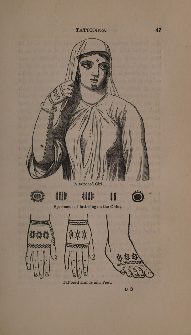 | | Specimens of tattooing on the Ching