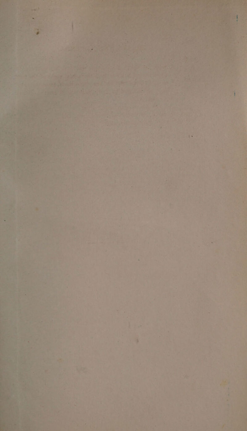 fre Of ni” on Oi ~~ maillea heen ‘ * * =. a aY