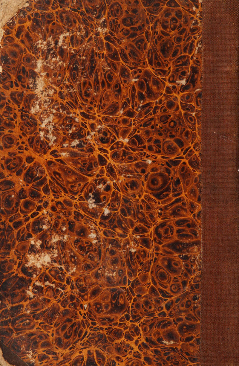 No text description is available for this image