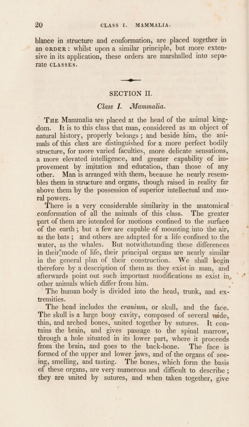 blance in structure and conformation, are placed together in an ORDER: whilst upon a similar principle, but more exten¬ sive in its application, these orders are marshalled into sepa¬ rate CLASSES. SECTION II. Class L Mammalia. The Mammalia are placed at the head of the animal king¬ dom. It is to this class that man, considered as an object of natural history, properly belongs ; and beside him, the ani¬ mals of this class are distinguished for a more perfect bodily structure, for more varied faculties, more delicate sensations, a more elevated intelligence, and greater capability of im¬ provement by imitation and education, than those of any other. Man is arranged with them, because he nearly resem¬ bles them in structure and organs, though raised in reality far above them by the possession of superior intellectual and mo¬ ral powers. There is a very considerable similarity in the anatomical conformation of all the animals of this class. The greater part of them are intended for motions confined to the surface of the earth ; but a few are capable of mounting into the air, as the bats ; and others are adapted for a life confined to the water, as the whales. But notwithstanding these differences in their^mode of life, their principal organs ai’e nearly similar in the general plan of their construction. We shall begin therefore by a description of them as they exist in man, and afterwards point out such important modifications as exist in. other animals which differ from him. The human body is divided into the head, trunk, and ex¬ tremities. The head includes the cranium.) or skull, and the face. The skull is a large bony cavity, composed of several twde, thin, and arched bones, united together by sutures. It con¬ tains the brain, and gives passage to the spinal marrow, through a hole situated in its lower part, where it proceeds from the brain, and goes to the back-bone. The face is formed of the upper and lower jaws, and of the organs of see¬ ing, smelling, and tasting. The bones, which form the basis of these organs, are very numerous and difficult to describe ; they are united by sutures, and when taken together, give