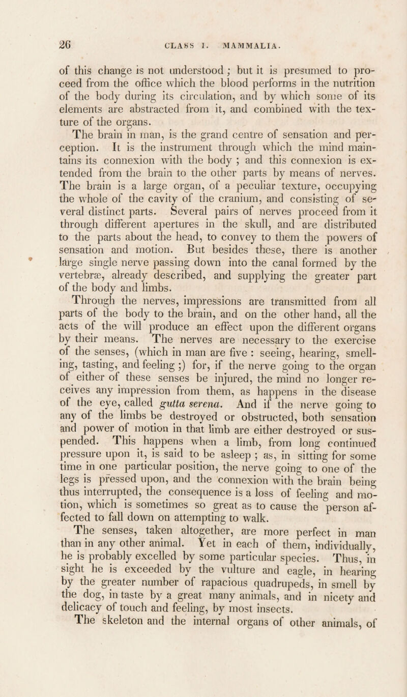 of this change is not understood; but it is presumed to pro¬ ceed from the office which the blood performs in the nutrition of the body during its circulation, and by which some of its elements are abstracted from it, and combined with the tex¬ ture of the organs. The brain in man, is the grand centre of sensation and per¬ ception. It is the instrument through which the mind main¬ tains its connexion with the body ; and this connexion is ex¬ tended from the brain to the other parts by means of nerves. The brain is a large organ, of a peculiar texture, occupying the whole of the cavity of the cranium, and consisting of se¬ veral distinct parts. Several pairs of nerves proceed from it through different apertures in the skull, and are distributed to the parts about the head, to convey to them the powers of sensation and motion. But besides these, there is another , large single nerve passing down into the canal formed by the vertebrae, already described, and supplying the greater part of the body and limbs. Through the nerves, impressions are transmitted from all parts of the body to the brain, and on the other hand, all the acts of the will produce an effect upon the different organs by their means. The nerves are necessary to the exercise of the senses, (which in man are five : seeing, hearing, smell¬ ing, tasting, and feeling ;) for, if the nerve going to the organ of either of these senses be injured, the mind no longer re¬ ceives any impression from them, as happens in the disease of the eye, called gutta serena. And if the nerve going to any of the limbs be destroyed or obstructed, both sensation and power of motion in that limb are either destroyed or sus¬ pended. This happens when a limb, from long continued pressure upon it, is said to be asleep ; as, in sitting for some time in one particular position, the nerve going to one of the legs is pressed upon, and the connexion with the brain being thus interrupted, the consequence is a loss of feeling and mo¬ tion, which is sometimes so great as to cause the person af¬ fected to fall down on attempting to walk. The senses, taken altogether, are more perfect in man than in any other animal. Yet in each of them, individually, he is probably excelled by some particular species. Thus, in sight he is exceeded by the vulture and eagle, in hearing by the greater number of rapacious quadrupeds, in smell by the dog, in taste by a great many animals, and in nicety and delicacy of touch and feeling, by most insects. The skeleton and the internal organs of other animals, of