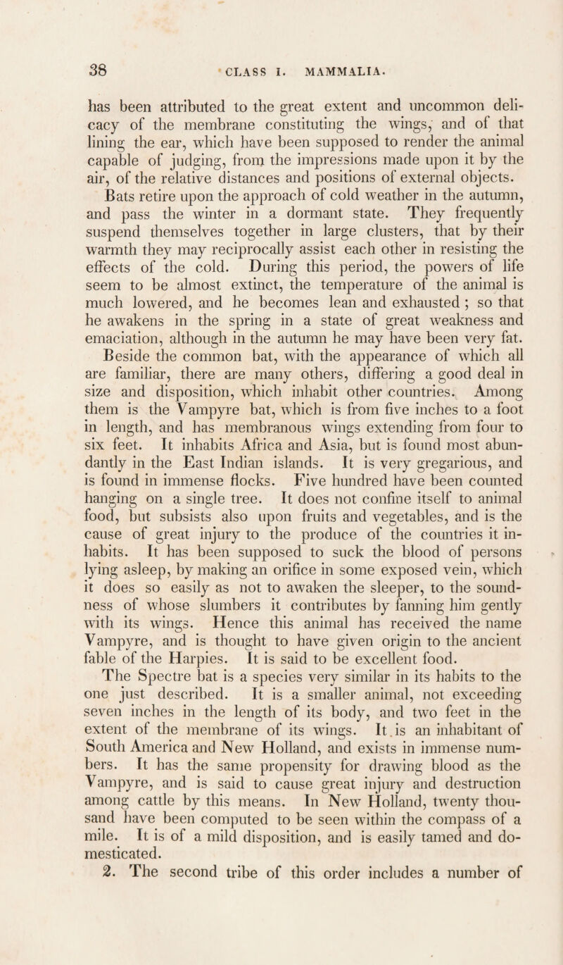 has been attributed to the great extent and uncommon deli¬ cacy of the membrane constituting the wings, and of that lining the ear, which have been supposed to render the animal capable of judging, from the impressions made upon it by the air, of the relative distances and positions of external objects. Bats retire upon the approach of cold weather in the autumn, and pass the winter in a dormant state. They frequently suspend themselves together in large clusters, that by their warmth they may reciprocally assist each other in resisting the effects of the cold. During this period, the powers of life seem to be almost extinct, the temperature of the animal is much lowered, and he becomes lean and exhausted ; so that he awakens in the spring in a state of great weakness and emaciation, although in the autumn he may have been very fat. Beside the common bat, with the appearance of which all are familiar, there are many others, differing a good deal in size and disposition, which inhabit other countries. Among them is the Vampyre bat, which is from five inches to a foot in length, and has membranous wings extending from four to six feet. It inhabits Africa and Asia, but is found most abun¬ dantly in the East Indian islands. It is very gregarious, and is found in immense flocks. Five hundred have been counted hanging on a single tree. It does not confine itself to animal food, but subsists also upon fruits and vegetables, and is the cause of great injury to the produce of the countries it in¬ habits. It has been supposed to suck the blood of persons lying asleep, by making an orifice in some exposed vein, which it does so easily as not to awaken the sleeper, to the sound¬ ness of whose slumbers it contributes by fanning him gently with its wings. Hence this animal has received the name Vampyre, and is thought to have given origin to the ancient fable of the Harpies. It is said to be excellent food. The Spectre bat is a species very similar in its habits to the one just described. It is a smaller animal, not exceeding seven inches in the length of its body, and two feet in the extent of the membrane of its wings. It.is an inhabitant of South America and New Holland, and exists in immense num¬ bers. It has the same propensity for drawing blood as the Vampyre, and is said to cause great injury and destruction among cattle by this means. In New Holland, twenty thou¬ sand have been computed to be seen within the compass of a mile. It is of a mild disposition, and is easily tamed and do¬ mesticated. 2. The second tribe of this order includes a number of