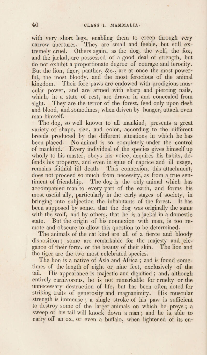 with ver}’’ short legs, enabling them to creep through very narrow apertures. They are small and feeble, but still ex¬ tremely cruel. Others again, as the dog, the wolf, the fox, and the jackal, are possessed of a good deal of strength, but do not exhibit a proportionate degree of courage and ferocity. But the lion, tiger, panther, &c., are at once the most power¬ ful, the most bloody, and the most ferocious of the animal kingdom. Their fore paws are endowed with prodigious mus¬ cular power, and are armed with sharp and piercing nails, which, in a state of rest, are drawn in and concealed from sight. They are the terror of the forest, feed only upon flesh and blood, and sometimes, when driven by hunger, attack even man himself. The dog, so well known to all mankind, presents a great variety of shape, size, and color, according to the different breeds produced by the different situations in which he has been placed. No animal is so completely under the control of mankind. Every individual of the species gives himself up wholly to his master, obeys his voice, acquires his habits, de¬ fends his property, and even in spite of caprice and ill usage, remains faithful till death. This connexion, this attachment, does not proceed so much from necessity, as from a true sen¬ timent of friendship. The dog is the only animal wdiich has accompanied man to every part of the earth, and forms his most useful ally, particularly in the early stages of society, in bringing into subjection the. inhabitants of the forest. It has been supposed by some, that the dog was originally the same with the wolf, and by others, that he is a jackal in a domestic state. But the origin of his connexion with man, is too re¬ mote and obscure to allow this question to be determined. The animals of the cat kind are all of a fierce and bloody disposition; some are remarkable for the majesty and ele¬ gance of their form, or the beauty of their skin. The lion and the tiger are the two most celebrated species. The lion is a native of Asia and Africa ; and is found some¬ times of the length of eight or nine feet, exclusively of the tail. His appearance is majestic and dignified ; and, although entirely carnivorous, he is not remarkable for cruelty or the unnecessary destruction of life, but has been often noted for striking traits of generosity and magnanimity. His muscular strength is immense ; a single stroke of his paw is sufficient to destroy some of the larger animals on w^hich he preys ; a sweep of his tail will knock down a man ; and he is. able to carry off an ox, or even a buffalo, when lightened of its en-
