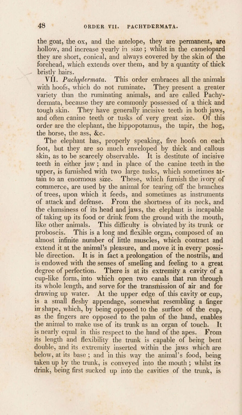 the goat, the ox, and the antelope, they are permanent, are hollow, and increase yearly in size ; whilst in the camelopard they are short, conical, and always covered by the skin of the forehead, which extends over them, and by a quantity of thick bristly hairs. VII. Pachydermata. This order embraces all the animals with hoofs, which do not ruminate. They present a greater variety than the ruminating animals, and are called Pachy¬ dermata, because they are commonly possessed of a thick and tough skin. They have generally incisive teeth in both jaws, and often canine teeth or tusks of very great size. Of this order are the elephant, the hippopotamus, the tapir, the hog, the horse, the ass, &c. The elephant has, properly speaking, five hoofs on each foot, but they are so much enveloped by thick and callous skin, as to be scarcely observable. It is destitute of incisive teeth in either jaw ; and in place of the canine teeth in the upper, is furnished with two large tusks, which sometimes at¬ tain to an enormous size. These, which furnish the ivory of commerce, are used by the animal for tearing off the branches of trees, upon which it feeds, and sometimes as instruments of attack and defense. From the shortness of its neck, and the clumsiness of its head and jaws, the elephant is incapable of taking up its food or drink from the ground with the mouth, like other animals. This difficulty is obviated by its trunk or proboscis. This is a long and flexible organ, composed of an almost infinite number of little muscles, which contract and extend it at the animal’s pleasure, and move it in every possi¬ ble direction. It is in fact a prolongation of the nostrils, and is endowed with the senses of smelling and feeling to a great degree of perfection. There is at its extremity a cavity of a cup-like form, into which open two canals that run through its whole length, and serve for the transrhission of air and for drawing up water. At the upper edge of this cavity or cup, is a small fleshy appendage, somewhat resembling a finger in shape, which, by being opposed to the surface of the cup, as the fingers are opposed to the palm of the hand, enables the animal to make use of its trunk as an organ of touch. It is nearly equal in this respect to the hand of the apes. From its length and flexibility the trunk is capable of being bent double, and its extremity inserted within the jaws which are below, at its base ; and in this way the animal’s food, being taken up by the trunk, is conveyed into tlie mouth ; whilst its drink, being first sucked up into the cavities of the trunk, is