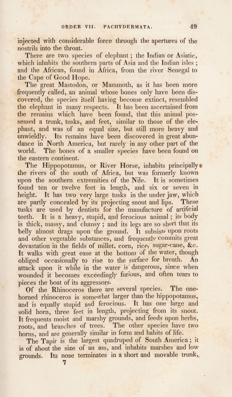 injected with considerable force through the apertures of the nostrils into the throat. There are two species of elephant; the Indian or Asiatic, which inhabits the southern parts of Asia and the Indian isles ; and the African, found in Africa, from the river Senegal to the Cape of Good Hope. The great Mastodon, or Mammoth, as it has been more frequently called, an animal whose bones only have been dis¬ covered, the species itself having become extinct, resembled the elephant in many respects. It has been ascertained from the remains which have been found, that this animal pos¬ sessed a trunk, tusks, and feet, similar to those of the ele¬ phant, and was of an equal size, but still more heavy and unwieldly. Its remains have been discovered in great abun¬ dance in North America, but rarely in any other part of the world. The bones of a smaller species have been found on the eastern continent. The Hippopotamus, or River Horse, inhabits principally® the rivers of the south of Africa, but was formerly known upon the southern extremities of the Nile. It is sometimes found ten or twelve feet in length, and six or seven in height. It has two very large tusks in the under jaw, which are partly concealed by its projecting snout and lips. These tusks are used by dentists for the manufacture of artificial teeth. It is a heavy, stupid, and ferocious animal; its body is thick, massy, and clumsy ; and its legs are so short that its belly almost drags upon the ground. It subsists upon roots and other vegetable substances, and frequentlv commits great devastation in the fields of millet, corn, rice, sugar-cane, &c. It walks with great ease at the bottom of the water, though obliged occasionally to rise to the surface for breath. An attack upon it while in the water is dangerous, since when wounded it becomes exceedingly furious, and often tears to pieces the boat of its aggressors. Of the Rhinoceros there are several species. The one¬ horned rhinoceros is somewhat larger than the hippopotamus, and is equally stupid and ferocious. It has one large and solid horn, three feet in length, projecting from its snout. It frequents moist and marshy grounds, and feeds upon herbs, roots, and branches of trees. The other species have two horns, and are generally similar in form and habits of life. The Tapir is the largest quadruped of South America; it is of about the size of an ass, and inhabits marshes and low grounds. Its nose terminates in a short and movable trunk,, 7