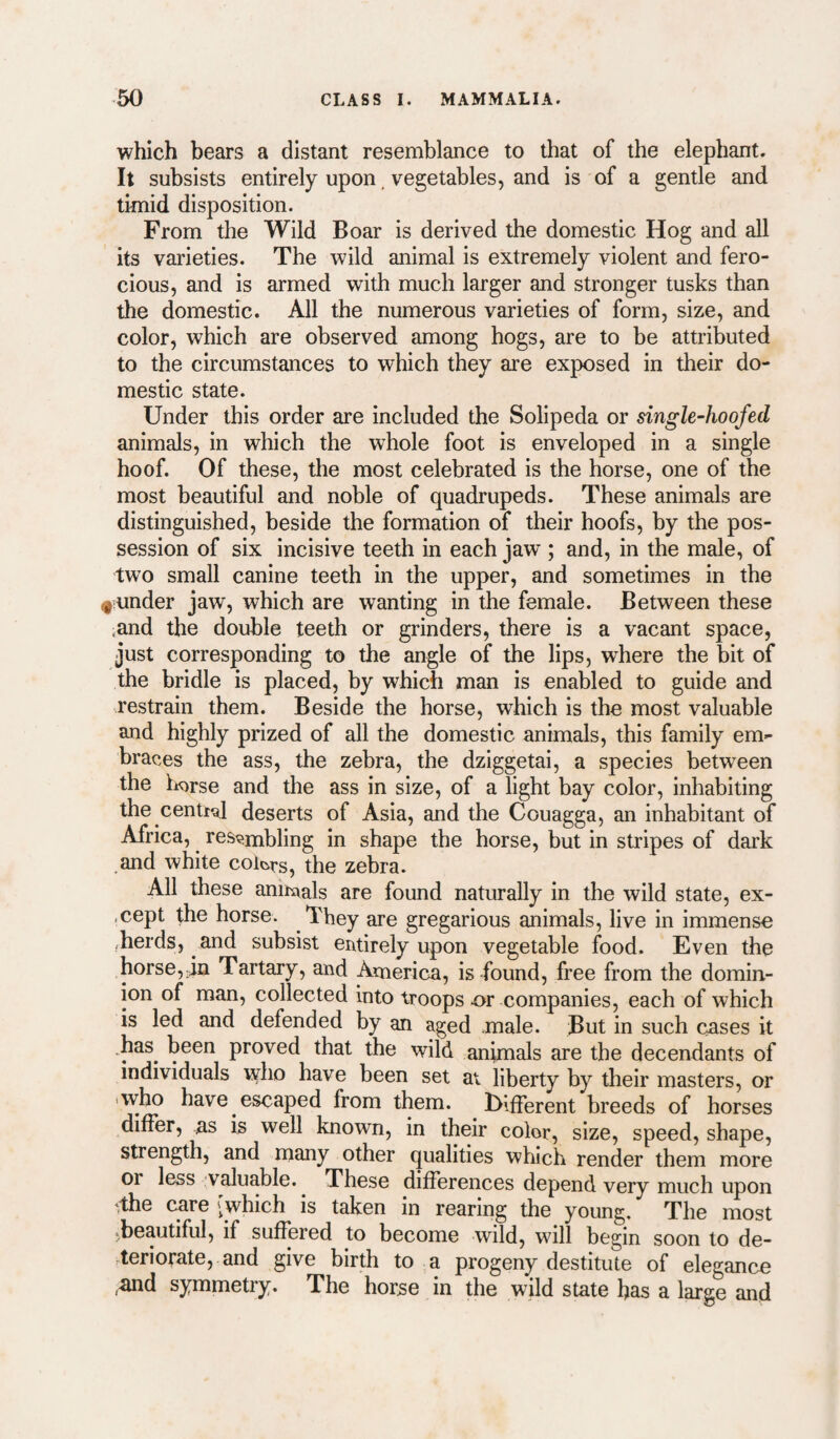 which bears a distant resemblance to that of the elephant. It subsists entirely upon. vegetables, and is of a gentle and timid disposition. From the Wild Boar is derived the domestic Hog and all its varieties. The wild animal is extremely violent and fero¬ cious, and is armed with much larger and stronger tusks than the domestic. All the numerous varieties of form, size, and color, which are observed among hogs, are to be attributed to the circumstances to which they are exposed in their do¬ mestic state. Under this order are included the Solipeda or single-hoofed animals, in which the whole foot is enveloped in a single hoof. Of these, the most celebrated is the horse, one of the most beautiful and noble of quadrupeds. These animals are distinguished, beside the formation of their hoofs, by the pos¬ session of six incisive teeth in each jaw ; and, in the male, of two small canine teeth in the upper, and sometimes in the (jiunder jaw, which are wanting in the female. Between these ,and the double teeth or grinders, there is a vacant space, just corresponding to the angle of the lips, where the bit of the bridle is placed, by which man is enabled to guide and restrain them. Beside the horse, which is the most valuable and highly prized of all the domestic animals, this family em¬ braces the ass, the zebra, the dziggetai, a species between the Imrse and the ass in size, of a light bay color, inhabiting the central deserts of Asia, and the Couagga, an inhabitant of Africa, resembling in shape the horse, but in stripes of dark and white colcirs, the zebra. All these annuals are found naturally in the wild state, ex- .cept the horse. They are gregarious animals, live in immenso herds, and subsist entirely upon vegetable food. Even the horse, in Tartary, and America, is found, free from the domin¬ ion of man, collected into troops 4>r companies, each of which is led and defended by an aged male. But in such cases it has^ been proved that the wild animals are the decendants of individuals who have been set at liberty by their masters, or >who have escaped from them. Uifferent breeds of horses differ, as is well known, in their color, size, speed, shape, strength, and many other qualities which render them more or less valuable. These differences depend very much upon ^the care [which is taken in rearing the young. The most .beautiful, if suffered to become wild, will begin soon to de- .teriorate, and give birth to a progeny destitute of elegance ,and symmetry. The horse in the wild state has a large and