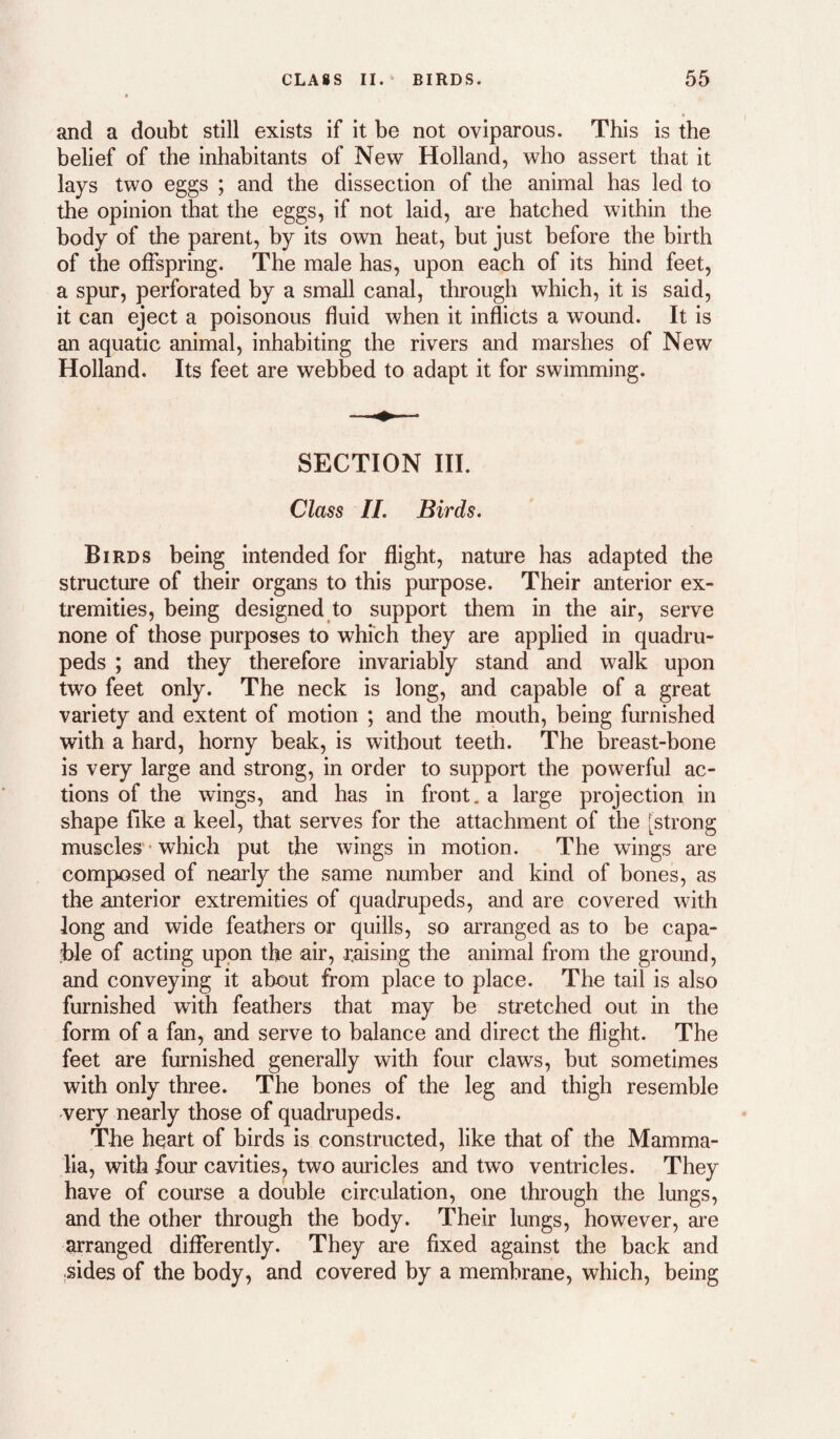 and a doubt still exists if it be not oviparous. This is the belief of the inhabitants of New Holland, who assert that it lays two eggs ; and the dissection of the animal has led to the opinion that the eggs, if not laid, aie hatched within the body of the parent, by its own heat, but just before the birth of the offspring. The male has, upon each of its hind feet, a spur, perforated by a small canal, through which, it is said, it can eject a poisonous fluid when it inflicts a wound. It is an aquatic animal, inhabiting the rivers and marshes of New Holland. Its feet are webbed to adapt it for swimming. SECTION III. Class II. Birds. Birds being intended for flight, nature has adapted the structure of their organs to this purpose. Their anterior ex¬ tremities, being designed to support them in the air, serve none of those purposes to which they are applied in quadru¬ peds ; and they therefore invariably stand and walk upon two feet only. The neck is long, and capable of a great variety and extent of motion ; and the mouth, being furnished with a hard, horny beak, is without teeth. The breast-bone is very large and strong, in order to support the powerful ac¬ tions of the wings, and has in front, a large projection in shape fike a keel, that serves for the attachment of the [strong muscles • which put the wings in motion. The wings are composed of nearl}^ the same number and kind of bones, as the anterior extremities of quadrupeds, and are covered with long and wide feathers or quills, so arranged as to be capa¬ ble of acting upon the air, raising the animal from the ground, and conveying it about from place to place. The tail is also furnished with feathers that may be stretched out in the form of a fan, and serve to balance and direct the flight. The feet are furnished generally with four claws, but sometimes with only three. The bones of the leg and thigh resemble -very nearly those of quadrupeds. The heart of birds is constructed, like that of the Mamma¬ lia, with /our cavities, two auricles and two ventricles. They have of course a double circulation, one through the lungs, and the other through the body. Their lungs, however, are arranged differently. They are fixed against the back and sides of the body, and covered by a membrane, which, being