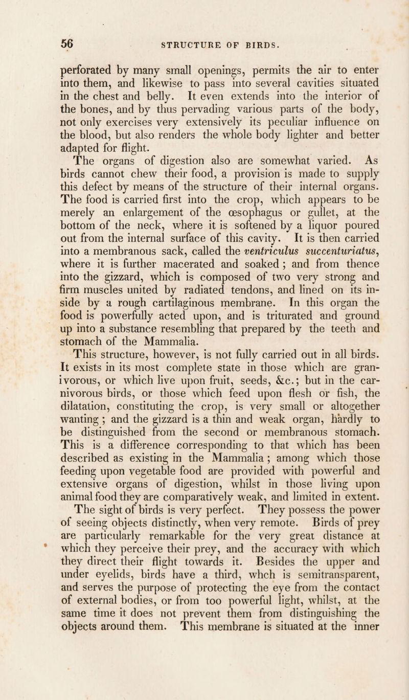 perforated by many small openings, permits the air to enter into them, and likewise to pass into several cavities situated in the chest and belly. It even extends into the interior of the bones, and by thus pervading various parts of the body, not only exercises very extensively its peculiar influence on the blood, but also renders the whole body lighter and better adapted for flight. The organs of digestion also are somewhat varied. As birds cannot chew their food, a provision is made to supply this defect by means of the structure of their internal organs. The food is carried first into the crop, which appears to be merely an enlargement of the oesophagus or gullet, at the bottom of the neck, where it is softened by a liquor poured out from the internal surface of this cavity. It is then carried into a membranous sack, called the ventriculus succenturiatus^ where it is further macerated and soaked; and from thence into the gizzard, which is composed of two very strong and firm muscles united by radiated tendons, and lined on its in¬ side by a rough cartilaginous rnembrane. In this organ the food is powerfully acted upon, and is triturated and ground up into a substance resembling that prepared by the teeth and stomach of the Mammalia. This structure, however, is not fully carried out in all birds. It exists in its most complete state in those which are gran- ivorous, or which live upon fruit, seeds, &c.; but in the car¬ nivorous birds, or those which feed upon flesh or fish, the dilatation, constituting the crop, is very small or altogether wanting ; and the gizzard is a thin and weak organ, hardly to be distinguished from the second or membranous stomach. This is a difference corresponding to that which has been described as existing in the Mammalia; among which those feeding upon vegetable food are provided with powerful and extensive organs of digestion, whilst in those living upon animal food they are comparatively weak, and limited in extent. The sight of birds is very perfect. They possess the power of seeing objects distinctly, when very remote. Birds of prey are particularly remarkable for the very great distance at which they perceive their prey, and the accuracy with which they direct their flight towards it. Besides the upper and under eyelids, birds have a third, whch is semitransparent, and serves the purpose of protecting the eye from the contact of external bodies, or from too powerful light, whilst, at the same time it does not prevent them from distinguishing the objects around them. This membrane is situated at the inner