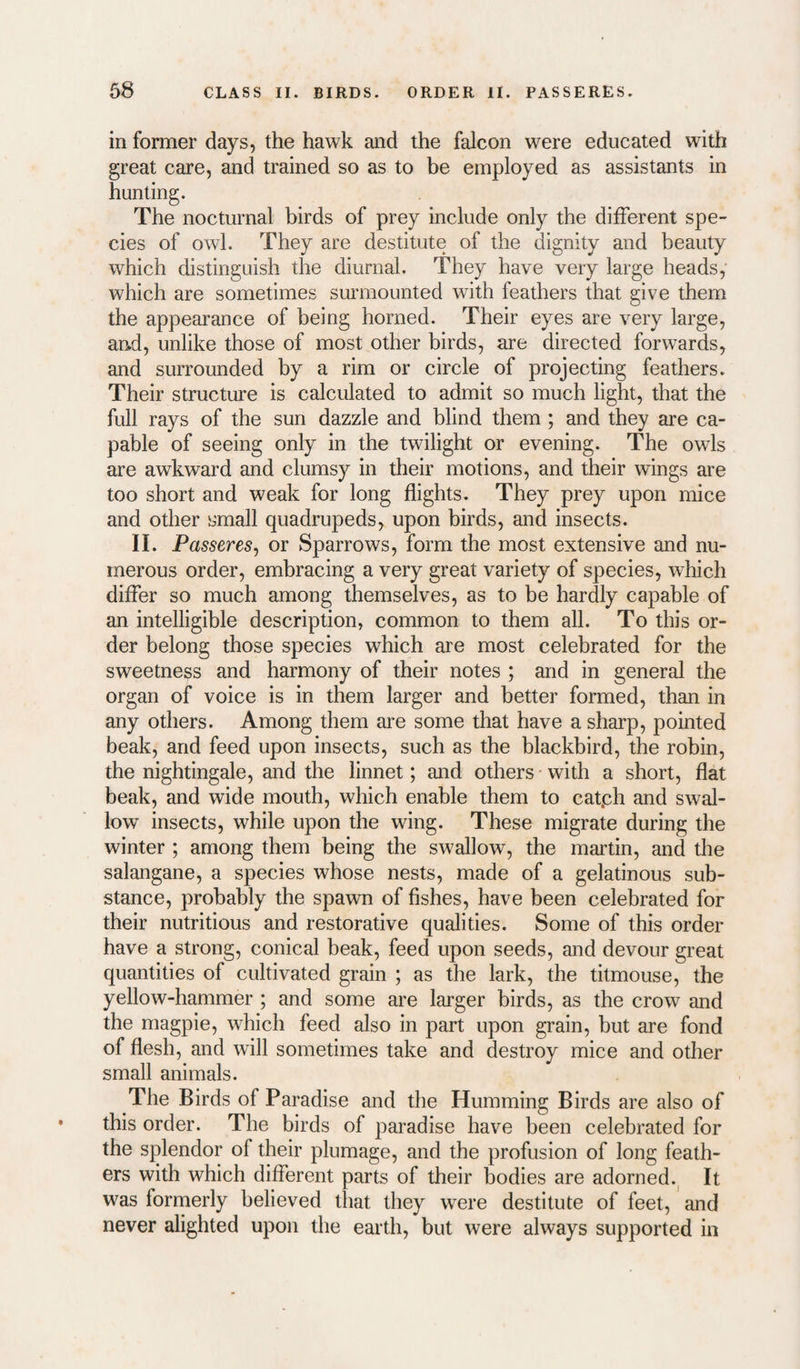 in former days, the hawk and the falcon were educated with great care, and trained so as to be employed as assistants in hunting. The nocturnal birds of prey include only the different spe¬ cies of owl. They are destitute of the dignity and beauty which distinguish the diurnal. They have very large heads, which are sometimes surmounted with feathers that give them the appearance of being horned. Their eyes are very large, arid, unlike those of most other birds, are directed forwards, and surrounded by a rim or circle of projecting feathers. Their structure is calculated to admit so much light, that the full rays of the sun dazzle and blind them ; and they are ca¬ pable of seeing only in the twilight or evening. The owls are awkward and clumsy in their motions, and their wings are too short and weak for long flights. They prey upon mice and other small quadrupeds, upon birds, and insects. II. Passeresj or Sparrows, form the most extensive and nu¬ merous order, embracing a very great variety of species, which differ so much among themselves, as to be hardly capable of an intelligible description, common to them all. To this or¬ der belong those species which are most celebrated for the sweetness and harmony of their notes ; and in general the organ of voice is in them larger and better formed, than in any others. Among them are some that have a sharp, pointed beak, and feed upon insects, such as the blackbird, the robin, the nightingale, and the linnet; and others with a short, flat beak, and wide mouth, which enable them to catph and swal¬ low insects, while upon the wing. These migrate during the winter ; among them being the swallow, the maitin, and the salangane, a species whose nests, made of a gelatinous sub¬ stance, probably the spawn of fishes, have been celebrated for their nutritious and restorative qualities. Some of this order have a strong, conical beak, feed upon seeds, and devour great quantities of cultivated grain ; as the lark, the titmouse, the yellow-hammer ; and some are larger birds, as the crow and the magpie, which feed also in part upon grain, but are fond of flesh, and will sometimes take and destroy mice and other small animals. The Birds of Paradise and the Humming Birds are also of this order. The birds of paradise have been celebrated for the splendor of their plumage, and the profusion of long feath¬ ers with which different parts of their bodies are adorned.^ It was formerly believed that they were destitute of feet, and never alighted upon the earth, but were always supported in