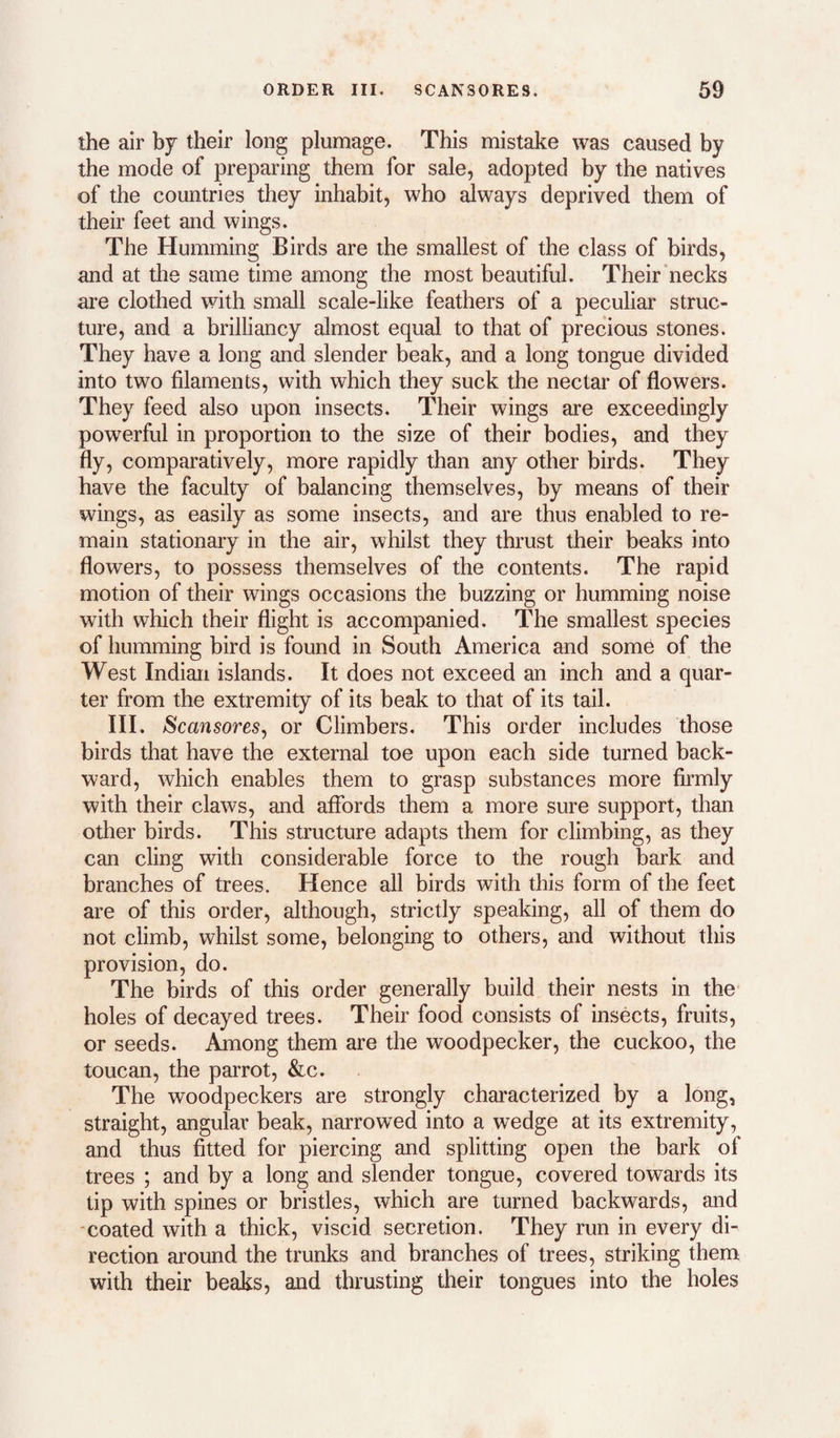 the air hj their long plumage. This mistake was caused by the mode of preparing them for sale, adopted by the natives of the countries they inhabit, who always deprived them of their feet and wings. The Humming Birds are the smallest of the class of birds, and at the same time among the most beautiful. Their‘necks are clothed with small scale-like feathers of a peculiar struc¬ ture, and a brilliancy almost equal to that of precious stones. They have a long and slender beak, and a long tongue divided into two filaments, with which they suck the nectar of flowers. They feed also upon insects. Their wings are exceedingly powerful in proportion to the size of their bodies, and they fly, comparatively, more rapidly than any other birds. They have the faculty of balancing themselves, by means of their wings, as easily as some insects, and are thus enabled to re¬ main stationary in the air, whilst they thrust their beaks into flowers, to possess themselves of the contents. The rapid motion of their wings occasions the buzzing or humming noise with which their flight is accompanied. The smallest species of humming bird is found in South America and some of the West Indian islands. It does not exceed an inch and a quar¬ ter from the extremity of its beak to that of its tail. III. Scansores^ or Climbers. This order includes those birds that have the external toe upon each side turned back¬ ward, which enables them to grasp substances more firmly with their claws, and affords them a more sure support, than other birds. This structure adapts them for climbing, as they can cling with considerable force to the rough bark and branches of trees. Hence all birds with this form of the feet are of this order, although, strictly speaking, all of them do not climb, whilst some, belonging to others, and without this provision, do. The birds of this order generally build their nests in the holes of decayed trees. Their food consists of insects, fruits, or seeds. Among them are the woodpecker, the cuckoo, the toucan, the parrot, &c. The woodpeckers are strongly characterized by a long, straight, angular beak, narrowed into a wedge at its extremity, and thus fitted for piercing and splitting open the bark of trees ; and by a long and slender tongue, covered towards its tip with spines or bristles, which are turned backwards, and ■coated with a thick, viscid secretion. They run in every di¬ rection around the trunks and branches of trees, striking them with their beaks, and thrusting their tongues into the holes