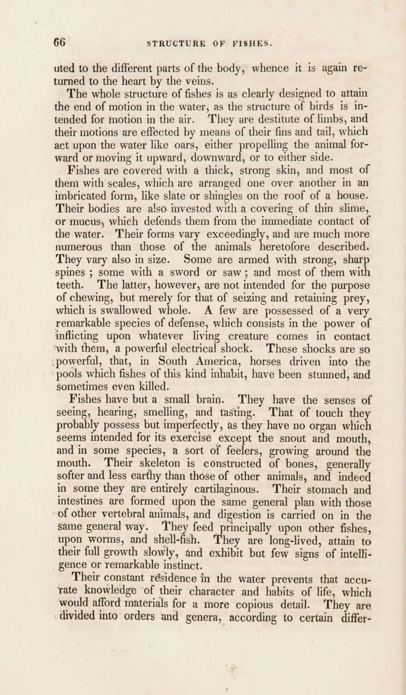 uted to the different parts of the body, whence it is again re¬ turned to the heart by the veins. The whole structure of fishes is as clearly designed to attain the end of motion in the water, as the structure of birds is in¬ tended for motion in the air. They are destitute of limbs, and their motions are effected by means of their fins and tail, which act upon the water like oars, either propelling the animal for¬ ward or moving it upward, downward, or to either side. Fishes are covered with a thick, strong skin, and most of them with scales, which are arranged one over another in an imbricated form, like slate or shingles on the roof of a house. Their bodies are also invested with a covering of thin slime, or mucus> which defends them from the immediate contact of the water. Their forms vary exceedingly, and are much more numerous than those of the animals heretofore described* They vary also in size. Some are armed with strong, sharp spines ; some with a sword or saw; and most of them with teeth. The latter, however, are not intended for the purpose of chewing, but merely for that of seizing and retaining prey, which is swallowed whole. A few are possessed of a very remarkable species of defense, which consists in the power of inflicting upon whatever living creature comes in contact ■with them, a powerful electrical shock. These shocks are so ■powerful, that, in South America, horses driven into the ' pools which fishes of this kind inhabit, have been stunned, and Sometimes even killed. Fishes have but a small brain. They have the senses of seeing, hearing, smelling, and tasting. That of touch they probably possess but imperfectly, as they have no organ which seems intended for its exercise except the snout and mouth, and in some species, a sort of feelers, growing around the mouth. Their skeleton is constructed of bones, generally softer and less ear&y than those of other animals, and indeed in some they are entirely cartilaginous. Their stomach and intestines are formed upon the same general plan with those of other vertebral animals, and digestion is carried on in the same general way. l^hey feed principally upon other fishes, upon worms, and shell-fish. They are long-lived, attain to their full growth slowly, and exhibit but few signs of intelli¬ gence or remarkable instinct. Their constant rdsidence in the water prevents that accu- Tate knowledge of their character and habits of life, which would afford materials for a more copious detail. They are . divided into orders and genera, according to certain differ-