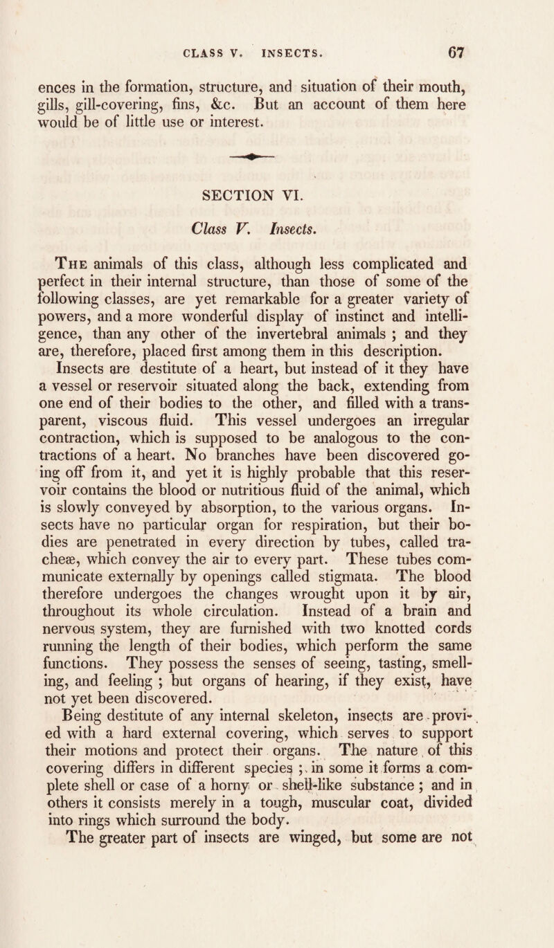 ences in the formation, structure, and situation of their mouth, gills, gill-covering, fins, &c. But an account of them here would be of little use or interest. SECTION VI. Class V, Insects. The animals of this class, although less complicated and perfect in their internal structure, than those of some of the following classes, are yet remarkable for a greater variety of powers, and a more wonderful display of instinct and intelli¬ gence, than any other of the invertebral animals ; and they are, therefore, placed first among them in this description. Insects are destitute of a heart, but instead of it they have a vessel or reservoir situated along the back, extending from one end of their bodies to the other, and filled with a trans¬ parent, viscous fluid. This vessel undergoes an irregular contraction, which is supposed to be analogous to the con¬ tractions of a heart. No branches have been discovered go¬ ing off from it, and yet it is highly probable that this reser¬ voir contains the blood or nutritious fluid of the animal, which is slowly conveyed by absorption, to the various organs. In¬ sects have no particular organ for respiration, but their bo¬ dies are penetrated in every direction by tubes, called tra¬ cheae, which convey the air to every part. These tubes com¬ municate externally by openings called stigmata. The blood therefore undergoes the changes wrought upon it by air, throughout its whole circulation. Instead of a brain and nervous system, they are furnished with two knotted cords running the length of their bodies, which perform the same functions. They possess the senses of seeing, tasting, smell¬ ing, and feeling ; but organs of hearing, if they exist, have not yet been discovered. Being destitute of any internal skeleton, insects are provi-. ed with a hard external covering, which serves to support their motions and protect their organs. The nature of this covering differs in different species ; .in some it forms a com¬ plete shell or case of a horny or shell-like substance ; and in others it consists merely in a tough, muscular coat, divided into rings which surround the body. The greater part of insects are winged, but some are not