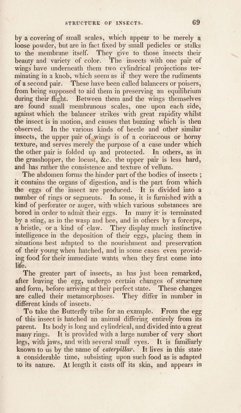 by a covering of small scales, which appear to be merely a loose powder, but are in fact fixed by small pedicles or stalks to the membrane itself. They give to those insects their beauty and variety of color. The insects with one pair of wings have underneath them two cylindrical projections ter¬ minating in a knob, which seem as if they were the rudiments of a second pair. These have been called balancers or poisers, from being supposed to aid them in preserving an equilibrium during their flight. Between them and the wings themselves are found small membranous scales, one upon each side, against which the balancer strikes with great rapidity whilst the insect is in motion, and causes that buzzing which is then observed. In the various kinds of beetle and other similar insects, the upper pair of wings is of a coriaceous or horny texture, and serves merely the purpose of a case under which the other pair is folded up and protected. In others, as in the grasshopper, the locust, &c. the upper pair is less hard, and has rather the consistence and texture of vellum. The abdomen forms the hinder part of the bodies of insects ; it contains the organs of digestion, and is the part from which the eggs of the insect are produced. It is divided into a number of rings or segments. In some, it is furnished with a kind of perforator or auger, with which various substances are bored in order to admit their eggs. In many if is terminated by a sting, as in the wasp and bee, and in others by a forceps, a bristle, or a kind of claw. They display much instinctive intelligence in the deposition of their eggs, placing them in situations best adapted to the nourishment and preservation of their young when hatched, and in some cases even provid¬ ing food for their immediate wahts when they first come into life. The greater part of insects, as has just been remarked, after leaving the egg, undergo certain changes of structure and form, before arriving at their perfect state. These changes are called their metamorphoses. They differ in number in different kinds of insects. To take the Butterfly tribe for an example. From the egg of this insect is hatched an animal differing entirely from its parent. Its body is long and cylindrical, and divided into a great many rings. It is provided with a large number of very short legs, with jaws, and with several small eyes. It is familiarly known to us by the name of caterpillar. It lives in this state a considerable time, subsisting upon such food as is adapted to its nature. At length it casts off its skin, and appears in
