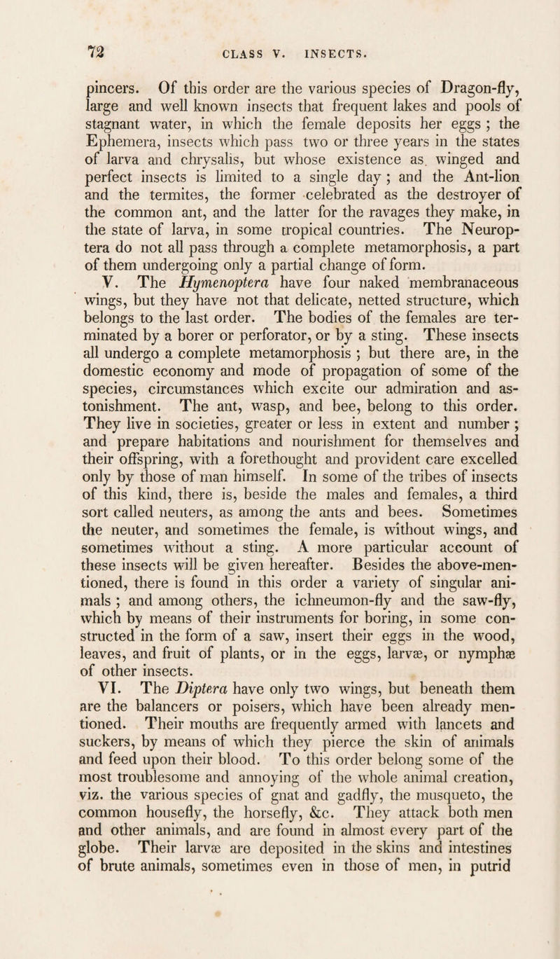 pincers. Of this order are the various species of Dragon-fly, large and well known insects that frequent lakes and pools of stagnant water, in which the female deposits her eggs ; the Ephemera, insects which pass two or three years in the states of larva and chrysalis, but whose existence as. winged and perfect insects is limited to a single day ; and the Ant-lion and the termites, the former celebrated as the destroyer of the common ant, and the latter for the ravages they make, in the state of larva, in some tropical countries. The Neurop- tera do not all pass through a complete metamorphosis, a part of them undergoing only a partial change of form. y. The Hymenoptera have four naked membranaceous wings, but they have not that delicate, netted structure, which belongs to the last order. The bodies of the females are ter¬ minated by a borer or perforator, or by a sting. These insects all undergo a complete metamorphosis ; but there are, in the domestic economy and mode of propagation of some of the species, circumstances which excite our admiration and as¬ tonishment. The ant, wasp, and bee, belong to this order. They live in societies, greater or less in extent and number ; and prepare habitations and nourishment for themselves and their offspring, with a forethought and provident care excelled only by those of man himself. In some of the tribes of insects of this kind, there is, beside the males and females, a third sort called neuters, as among the ants and bees. Sometimes the neuter, and sometimes the female, is without wings, and sometimes without a sting. A more particular account of these insects will be given hereafter. Besides the above-men¬ tioned, there is found in this order a variety of singular ani¬ mals ; and among others, the iclineumon-fly and the saw-fly, which by means of their instruments for boring, in some con¬ structed in tbe form of a saw, insert their eggs in the wood, leaves, and fruit of plants, or in the eggs, larvae, or nymphae of other insects. VI. The Diptera have only two wings, but beneath them are the balancers or poisers, which have been already men¬ tioned. Their mouths are frequently armed with lancets and suckers, by means of which they pierce the skin of animals and feed upon their blood. To this order belong some of the most troublesome and annoying of the whole animal creation, viz. the various species of gnat and gadfly, the musqueto, the common housefly, the horsefly, &c. They attack both men and other animals, and ai’e found in almost every part of the globe. Their larvae are deposited in the skins and intestines of brute animals, sometimes even in those of men, in putrid
