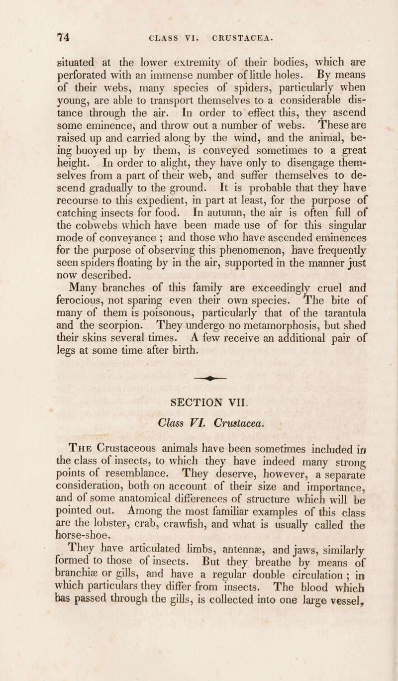 situated at the lower extremity of their bodies, which are perforated with an immense number of little holes. By means of their webs, many species of spiders, particularly when young, are able to transport themselves to a considerable dis¬ tance through the air. In order to effect this, they ascend some eminence, and throw out a number of webs. These are raised up and carried along by the wind, and the animal, be¬ ing buoyed up by them, is conveyed sometimes to a great height. In order to alight, they have only to disengage them¬ selves from a part of their web, and suffer themselves to de¬ scend gradually to the ground. It is probable that they have recourse to this expedient, in part at least, for the purpose of catching insects for food. In autumn, the air is often full of the cobwebs which have been made use of for this singular mode of conveyance ; and those who have ascended eminences for the purpose of observing this phenomenon, have frequently seen spiders floating by in the air, supported in the manner just now described. Many branches of this family are exceedingly cruel and ferocious, not sparing even their own species. The bite of many of them is poisonous, particularly that of the tarantula and the scorpion. They undergo no metamorphosis, but shed their skins several times. A few receive an additional pair of legs at some time after birth. SECTION VIL Class VI. Crustacea. The Crustaceous animals have been sometimes included in the class of insects, to which they have indeed many strong points of resemblance. They deserve, however, a separate consideration, both on account of their size and importance, and of some anatomical differences of structure which will be pointed out. Among the most familiar examples of this class are the lobster, crab, crawfish, and what is usually called the horse-shoe. They have articulated limbs, antennae, and jaws, similarly formed to those of insects. But they breathe by means of branchiae or gills, and have a regular double circulation ; in which particulars they differ from insects. The blood which has passed through the gills, is collected into one laige vessel.