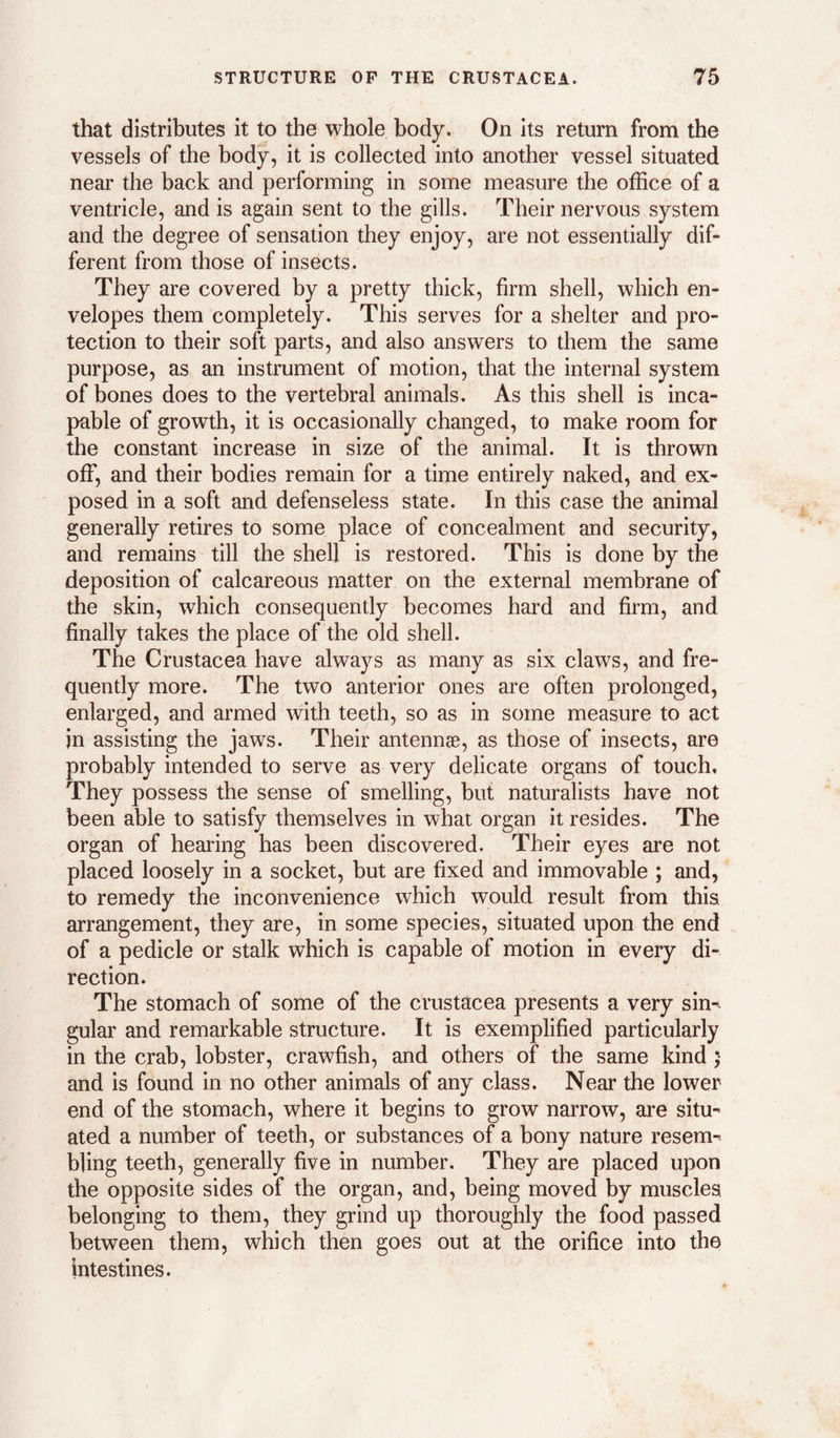 that distributes it to the whole body. On its return from the vessels of the body, it is collected into another vessel situated near the back and performing in some measure the office of a ventricle, and is again sent to the gills. Their nervous system and the degree of sensation they enjoy, are not essentially dif¬ ferent from those of insects. They are covered by a pretty thick, firm shell, which en¬ velopes them completely. This serves for a shelter and pro¬ tection to their soft parts, and also answers to them the same purpose, as an instrument of motion, that the internal system of bones does to the vertebral animals. As this shell is inca¬ pable of growth, it is occasionally changed, to make room for the constant increase in size of the animal. It is thrown off, and their bodies remain for a time entirely naked, and ex¬ posed in a soft and defenseless state. In this case the animal generally retires to some place of concealment and security, and remains till the shell is restored. This is done by the deposition of calcareous matter on the external membrane of the skin, which consequently becomes hard and firm, and finally takes the place of the old shell. The Crustacea have always as many as six claws, and fre¬ quently more. The two anterior ones are often prolonged, enlarged, and armed with teeth, so as in some measure to act in assisting the jaws. Their antennse, as those of insects, are probably intended to serve as very delicate organs of touch. They possess the sense of smelling, but naturalists have not been able to satisfy themselves in what organ it resides. The organ of hearing has been discovered. Their eyes are not placed loosely in a socket, but are fixed and immovable ; and, to remedy the inconvenience which would result from this, arrangement, they are, in some species, situated upon the end of a pedicle or stalk which is capable of motion in every di¬ rection. The stomach of some of the Crustacea presents a very sin-^ gular and remarkable structure. It is exemplified particularly in the crab, lobster, crawfish, and others of the same kind ; and is found in no other animals of any class. Near the lower end of the stomach, where it begins to grow narrow, are situ^ ated a number of teeth, or substances of a bony nature resem-' bling teeth, generally five in number. They are placed upon the opposite sides of the organ, and, being moved by muscles belonging to them, they grind up thoroughly the food passed between them, which then goes out at the orifice into the intestines.