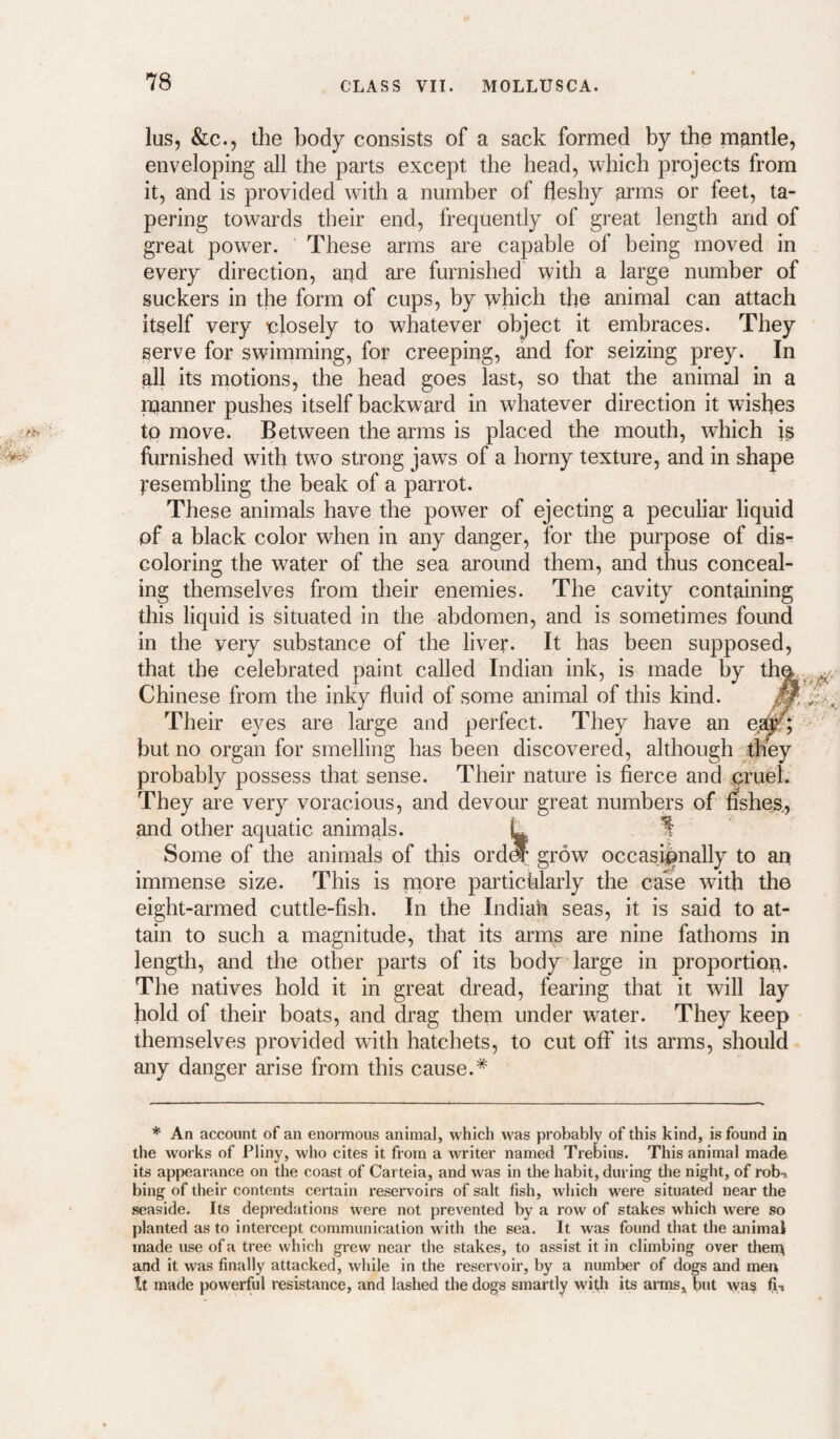 lus, &c., the body consists of a sack formed by the mantle, enveloping all the parts except the head, which projects from it, and is provided with a number of fleshy arms or feet, ta¬ pering towards their end, frequently of great length and of great power. These arms are capable of being moved in every direction, and are furnished with a large number of suckers in the form of cups, by which the animal can attach itself very •closely to whatever object it embraces. They ^erve for swimming, for creeping, and for seizing prey. In all its motions, the head goes last, so that the animal in a manner pushes itself backward in whatever direction it wishes to move. Between the arms is placed the mouth, which is furnished with two strong jaws of a horny texture, and in shape Resembling the beak of a parrot. These animals have the power of ejecting a peculiai* liquid of a black color when in any danger, for the purpose of dis¬ coloring the water of the sea around them, and thus conceal¬ ing themselves from their enemies. The cavity containing this liquid is situated in the abdomen, and is sometimes found in the very substance of the liver. It has been supposed, that the celebrated paint called Indian ink, is made by th^. Chinese from the inky fluid of some animal of this kind. Their eyes are large and perfect. They have an ejs^; but no organ for smelling has been discovered, although they probably possess that sense. Their nature is fierce and jpTufef. They are very voracious, and devour great numbers of fishes., and other aquatic animals. L ^ Some of the animals of this ord^ grow occasionally to an immense size. This is more partichlarly the case with the eight-armed cuttle-fish. In the Indiah seas, it is said to at¬ tain to such a magnitude, that its arms are nine fathoms in length, and the other parts of its body large in proportion. The natives hold it in great dread, fearing that it will lay bold of their boats, and drag them under water. They keep themselves provided with hatchets, to cut off its arms, should any danger arise from this cause. * An account of an enormous animal, which was probably of this kind, is found in the works of Pliny, who cites it from a writer named Trebius. This animal made its appearance on the coast of Carteia, and was in the habit, during tlie night, of rob-» bing of their contents certain reservoirs of salt fish, which were situated near the seaside. Its depi-edations were not prevented by a row of stakes which were so planted as to intercept communication with the sea. It was found that the animal made use of a tree which grew near the stakes, to assist it in climbing over therp and it was finally attacked, while in the reservoir, by a number of dogs and men Tt made powerful resistance, and lashed the dogs smartly witli its ai-rns, but was fii