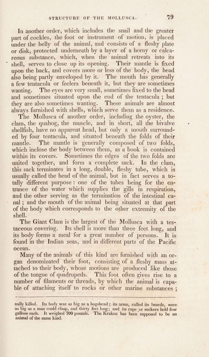 In another order, which includes the snail and the greater part of cockles, the foot or instrument of motion, is placed under the belly of the animal, and consists of a fleshy plate or disk, protected underneath by a layer of a horny or calca¬ reous substance, which, when the animal retreats into its ' shell, serves to close up its opening. Their mantle is fixed upon the back, and covers more or less of the body, the head also being partly enveloped by it. The mouth has generally a few tentacula or feelers beneath it, but they are sometimes wanting. The eyes are very small, sometimes fixed to the head and sometimes situated upon the end of the tentacula ; but they are also sometimes wanting. These animals are almost always furnished with shells, which serve them as a residence. The Mollusca of another order, including the oyster, the clam, the quahog, the muscle, and in short, all the bivalve shellfish, have no apparent head, but only a mouth surround¬ ed by four tentacula, and situated beneath the folds of their mantle. The mantle is generally composed of two folds, which inclose the body between them, as a book is contained within its covers. Sometimes the edges of the two folds are united together, and form a complete sack. In the clam, this sack terminates in a long, double, fleshy tube, which is usually called the head of the animal, but in fact serves a to¬ tally different purpose : one of the tubes being for the en¬ trance of the water which supplies the gills in respiration, and the other serving as the termination of the intestinal ca¬ nal ; and the mouth of the animal being situated at that part of the body which corresponds to the other extremity of the shell. The Giant Clam is the largest of the Mollusca with a tes¬ taceous covering. Its shell is more than three feet long, and its body forms a meal for a great number of persons. It is found in the Indian seas, and in different parts of the Pacific ocean. Many of the animals of this kind are furnished with an or¬ gan denominated their foot, consisting of a fleshy mass at¬ tached to their body, whose motions are produced like those of the tongue of quadrupeds. This foot often gives rise to a number of filaments or threads, by w^hich the animal is capa¬ ble of attaching itself to rocks or other marine substances ; nally killed. Its body was as big as a hogshead ; its arms, called its beards, were as big as a man could clasp, and thirty feet long; and its cups ;or suckers held four gallons each. It weighed 700 pounds. The Kraken has been ‘ supposed to be an animal of the same kind.