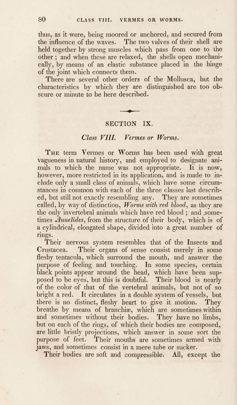 thus, as it were, being moored or anchored, and secured from the influence of the waves. The two valves of their shell are held together by strong muscles which pass from one to the other ; and when these are relaxed, the shells open mechani¬ cally, by means of an elastic substance placed in the hinge of the joint which connects them. There are several other orders of the Mollusca, but the characteristics by which they are distinguished are too ob¬ scure or minute to be here described. SECTION IX. Class VIIL Vermes or Worms. The term Vermes or Worms has been used with great vagueness in natural history, and employed to designate ani¬ mals to which the name was not appropriate. It is now, however, more restricted in its application, and is made to in¬ clude only a small class of animals, which have some circum¬ stances in common with each of the three classes last describ¬ ed, but still not exactly resembling any. They are sometimes called, by way of distinction. Worms with red blood., as they are the only invertebral animals which have red blood ; and .some¬ times Annelides, from the structure of their body, which is of a cylindrical, elongated shape, divided into a great number of rings. Their nervous system resembles that of the Insects and Crustacea. Their organs of sense consist merely in some fleshy tentacula, which surround the mouth, and answ^er the purpose of feeling and touching. In some species, certain black points appear around the head, which have been sup¬ posed to be eyes, but this is doubtful. Their blood is neaidy of the color of that of the vertebral animals, but not of so bright a red. It circulates in a double system of vessels, but there is no distinct, fleshy heart to give it motion. They breathe by means of branchiae, which are sometimes \vithin and sometimes without their bodies. They have no limbs, but on each of the rings, of which their bodies are composed, are little bristly projections, which answer in some sort the purpose of feet. Their mouths are sometimes armed with jaws, and sometimes consist in a mere tube or sucker. Their bodies are soft and compressible. All, except the