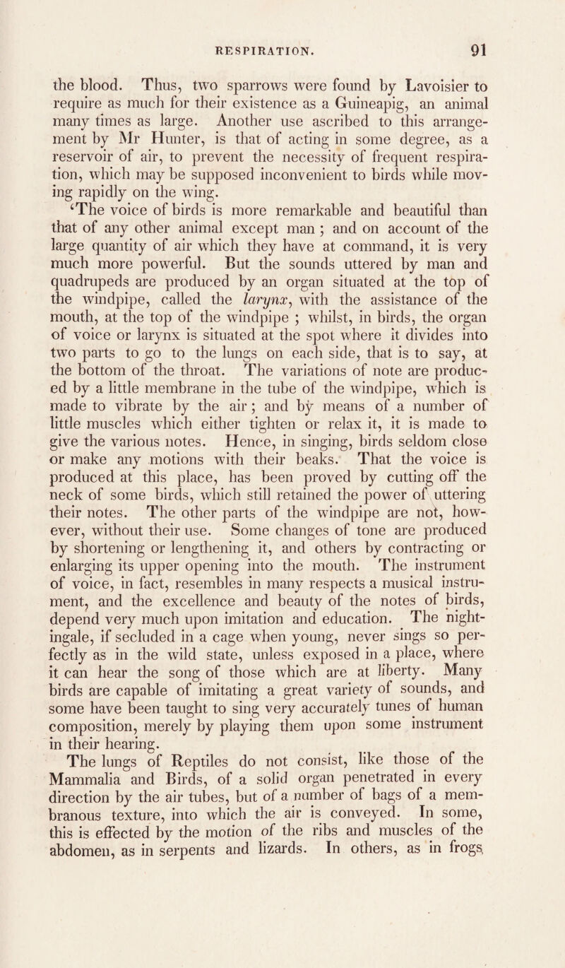 the blood. Thus, two sparrows were found by Lavoisier to require as much for their existence as a Guineapig, an animal many times as large. Another use ascribed to this arrange¬ ment by Mr Hunter, is that of acting in some degree, as a reservoir of air, to prevent the necessity of frequent respira¬ tion, which may be supposed inconvenient to birds while mov¬ ing rapidly on the wing. ‘The voice of birds is more remarkable and beautiful than that of any other animal except man; and on account of the large quantity of air which they have at command, it is very much more powerful. But the sounds uttered by man and quadrupeds are produced by an organ situated at the top of the windpipe, called the larynx^ with the assistance of the mouth, at the top of the windpipe ; whilst, in birds, the organ of voice or larynx is situated at the spot where it divides into two parts to go to the lungs on each side, that is to say, at the bottom of the throat. The variations of note are produc¬ ed by a little membrane in the tube of the windpipe, which is made to vibrate by the air; and by means of a number of little muscles which either tighten or relax it, it is made to give the various notes. Hence, in singing, birds seldom close or make any motions with their beaks. That the voice is produced at this place, has been proved by cutting off the neck of some birds, which still retained the power of uttering their notes. The other parts of the windpipe are not, how¬ ever, without their use. Some changes of tone are produced by shortening or lengthening it, and others by contracting or enlarging its upper opening into the mouth. The instrument of voice, in fact, resembles in many respects a musical instru¬ ment, and the excellence and beauty of the notes of birds, depend very much upon imitation and education. The night¬ ingale, if secluded in a cage when young, never sings so per¬ fectly as in the wild state, unless exposed in a place, where it can hear the song of those which are at liberty. Many birds are capable of imitating a great variety of sounds, and some have been taught to sing very accurately tunes of human composition, merely by playing them upon some instrument in their hearing. The lungs of Reptiles do not consist, like those of the Mammalia and Birds, of a solid organ penetrated in every direction by the air tubes, but of a number of bags of a mem¬ branous texture, into which the air is conveyed. In some, this is effected by the motion of the ribs and muscles of the abdomen, as in serpents and lizards. In others, as in frogs.