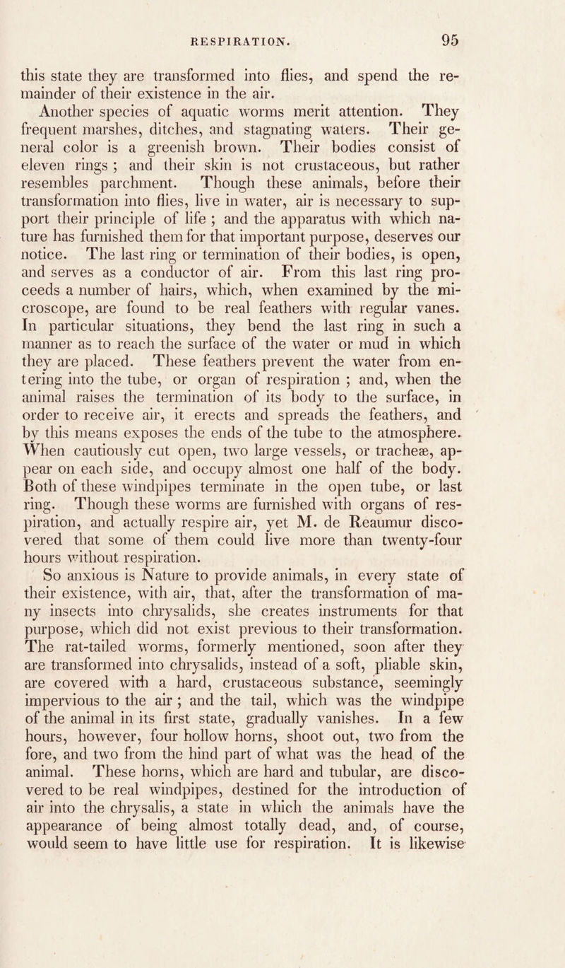 this state they are transformed into flies, and spend the re¬ mainder of their existence in the air. Another species of aquatic worms merit attention. They frequent marshes, ditches, and stagnating waters. Their ge¬ neral color is a greenish brown. Their bodies consist of eleven rings ; and their skin is not crustaceous, but rather resembles parchment. Though these animals, before their transformation into flies, live in water, air is necessary to sup¬ port their principle of life ; and the apparatus with which na¬ ture has furnished them for that important purpose, deserves our notice. The last ring or termination of their bodies, is open, and serves as a conductor of air. From this last ring pro¬ ceeds a number of hairs, which, when examined by the mi¬ croscope, are found to be real feathers with regular vanes. In particular situations, they bend the last ring in such a manner as to reach the surface of the water or mud in which they are placed. These feathers prevent the water from en¬ tering into the tube, or organ of respiration ; and, when the animal raises the termination of its body to the surface, in order to receive air, it erects and spreads the feathers, and by this means exposes the ends of the tube to the atmosphere. When cautiously cut open, two large vessels, or tracheae, ap¬ pear on each side, and occupy almost one half of the body. Both of these windpipes terminate in the open tube, or last ring. Though these worms are furnished with organs of res¬ piration, and actually respire air, yet M. de Reaumur disco¬ vered that some of them could live more than twenty-four hours vnthout respiration. So anxious is Nature to provide animals, in every state of their existence, with air, that, after the transformation of ma¬ ny insects into chrysalids, she creates instruments for that purpose, which did not exist previous to their transformation. The rat-tailed worms, formerly mentioned, soon after they are transformed into chrysalids, instead of a soft, pliable skin, are covered with a hard, crustaceous substance, seemingly impervious to the air ; and the tail, which was the windpipe of the animal in its first state, gradually vanishes. In a few hours, however, four hollow horns, shoot out, two from the fore, and two from the hind part of what was the head of the animal. These horns, which are hard and tubular, are disco¬ vered to be real windpipes, destined for the introduction of air into the chrysalis, a state in which the animals have the appearance of being almost totally dead, and, of course, would seem to have little use for respiration. It is likewise
