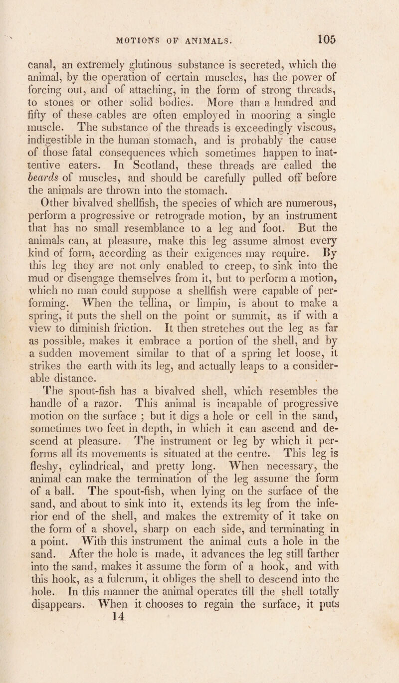 canal, an extremely glutinous substance is secreted, which the animal, by the operation of certain muscles, has the power of forcing out, and of attaching, in the form of strong threads, to stones or other solid bodies. More than a hundred and fifty of these cables are often employed in mooring a single muscle. The substance of the threads is exceedingly viscous, indigestible in the human stomach, and is probably the cause of those fatal consequences which sometimes happen to inat¬ tentive eaters. In Scotland, these threads are called the beards of muscles, and should be carefully pulled off before the animals are thrown into the stomach. Other bivalved shellfish, the species of which are numerous, perform a progressive or retrograde motion, by an instrument that has no small resemblance to a leg and foot. But the animals can, at pleasure, make this leg assume almost every kind of form, according as their exigences may require. By this leg they are not only enabled to creep, to sink into the mud or disengage themselves from it, but to perform a motion, which no man could suppose a shellfish were capable of per¬ forming. When the tellina, or limpin, is about to make a spring, it puts the shell on the point or summit, as if with a view to diminish friction. It then stretches out the leg as far as possible, makes it embrace a portion of the shell, and by a sudden movement similar to that of a spring let loose, it strikes the earth with its leg, and actually leaps to a consider¬ able distance. The spout-fish has a bivalved shell, which resembles the handle of a razor. This animal is incapable of progressive motion on the surface ; but it digs a hole or cell in the sand, sometimes two feet in depth, in which it can ascend and de¬ scend at pleasure. The instrument or leg by which it per¬ forms all its movements is situated at the centre. This leg is fleshy, cylindrical, and pretty long. When necessary, the animal can make the termination of the leg assume the form of a ball. The spout-fish, when lying on the surface of the sand, and about to sink into it, extends its leg from the infe¬ rior end of the shell, and makes the extremity of it take on the form of a shovel, sharp on each side, and terminating in a point. With this instrument the animal cuts a hole in the sand. After the hole is made, it advances the leg still farther into the sand, makes it assume the form of a hook, and with this hook, as a fulcrum, it obliges the shell to descend into the hole. In this manner the animal operates till the shell totally disappears. When it chooses to regain the surface, it puts 14